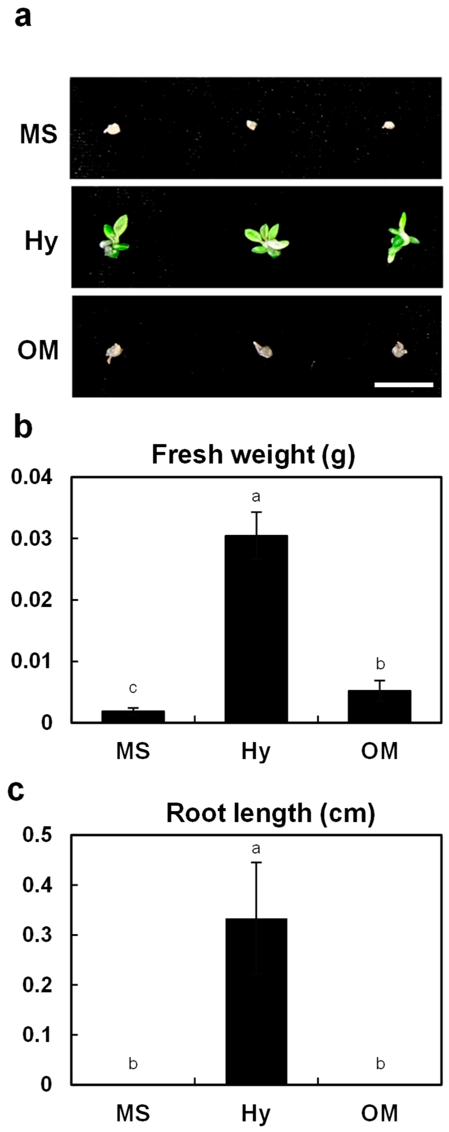 Plants 14 03133 g003 Plants 14 03133 g003