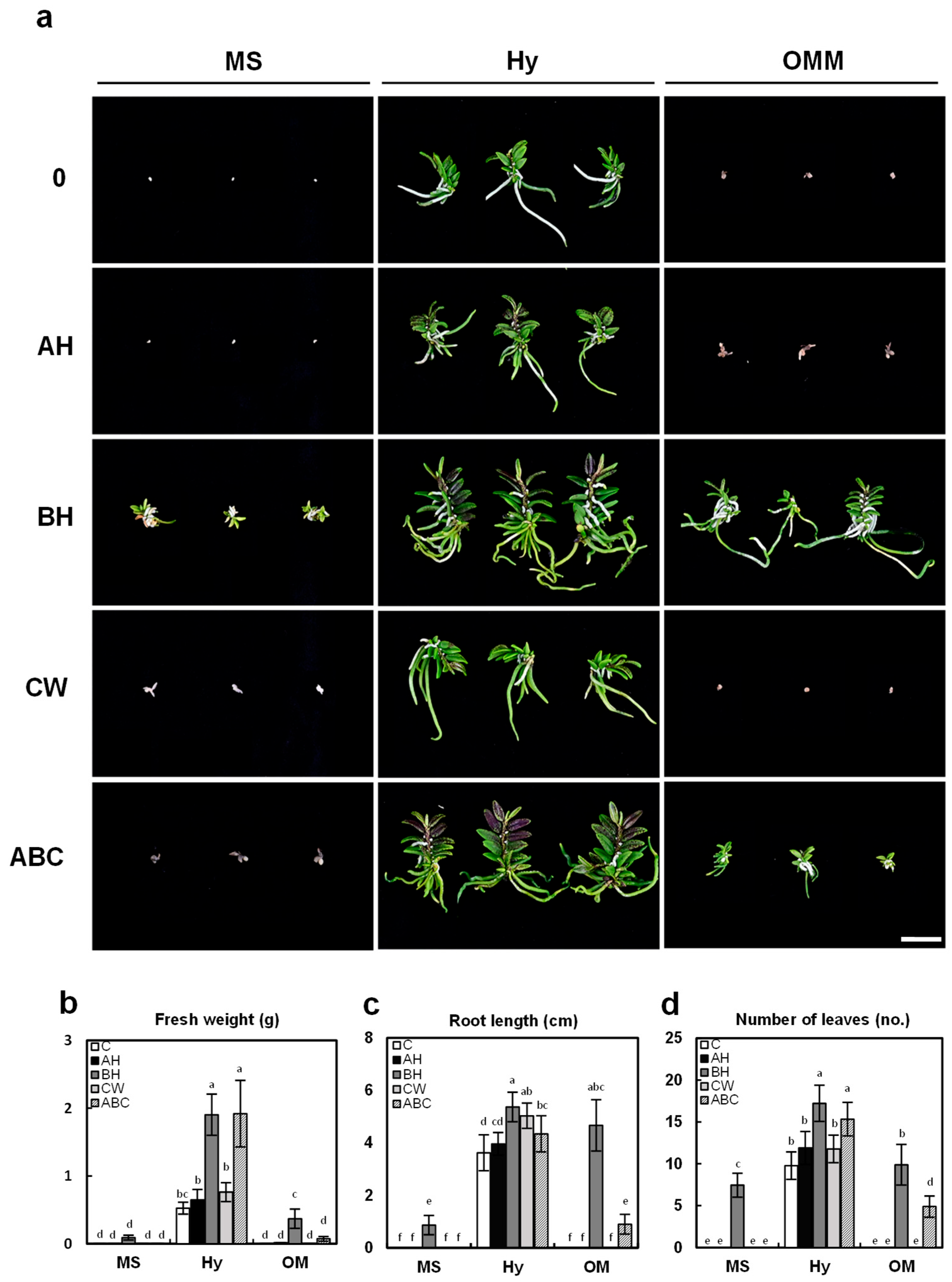 Plants 14 03133 g005 Plants 14 03133 g005