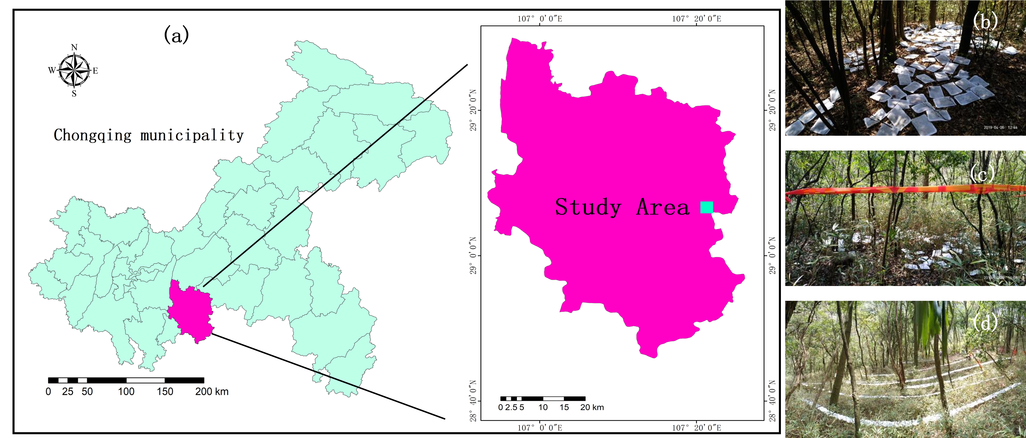 Plants 14 03135 g001