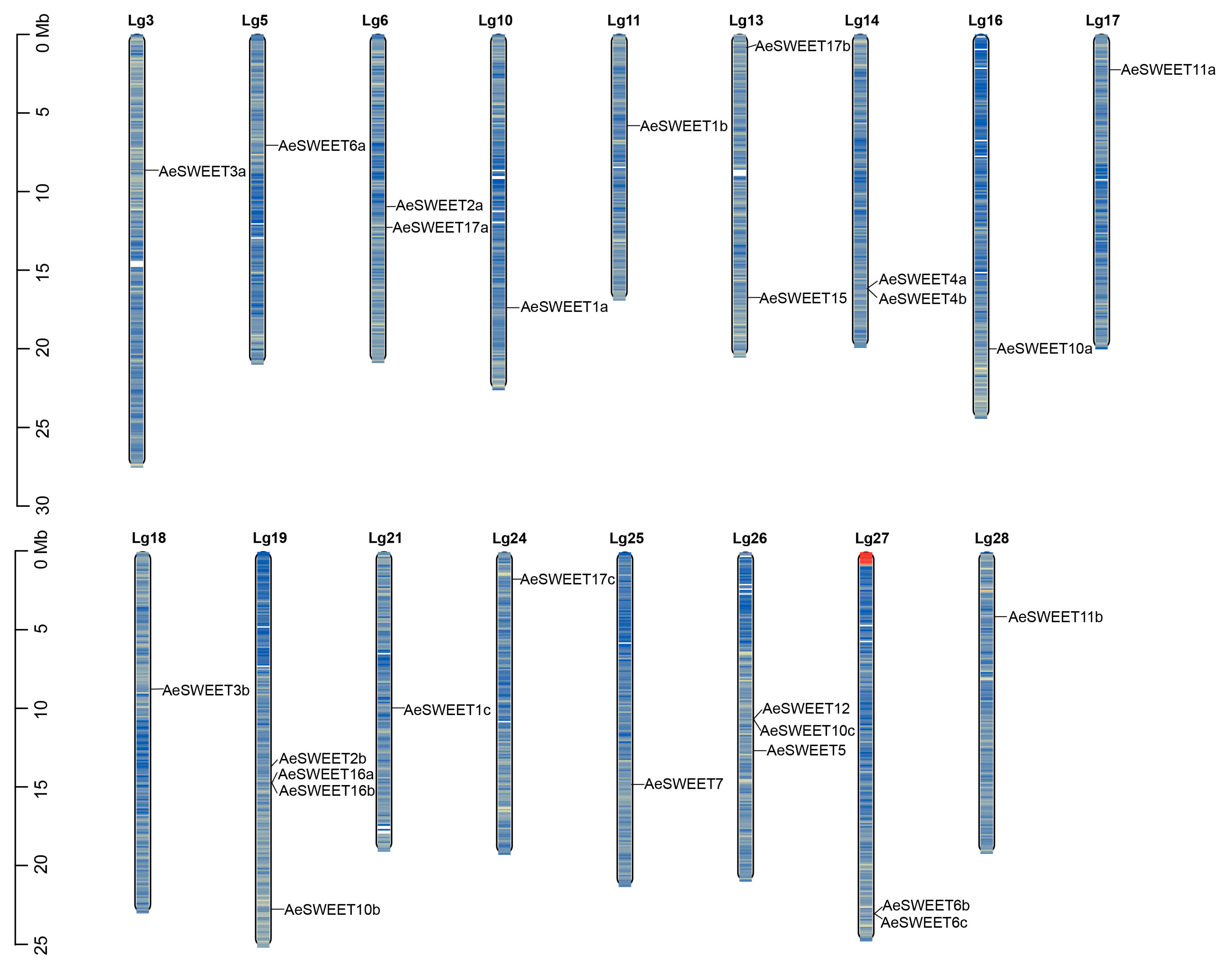 Plants 14 03140 g001
