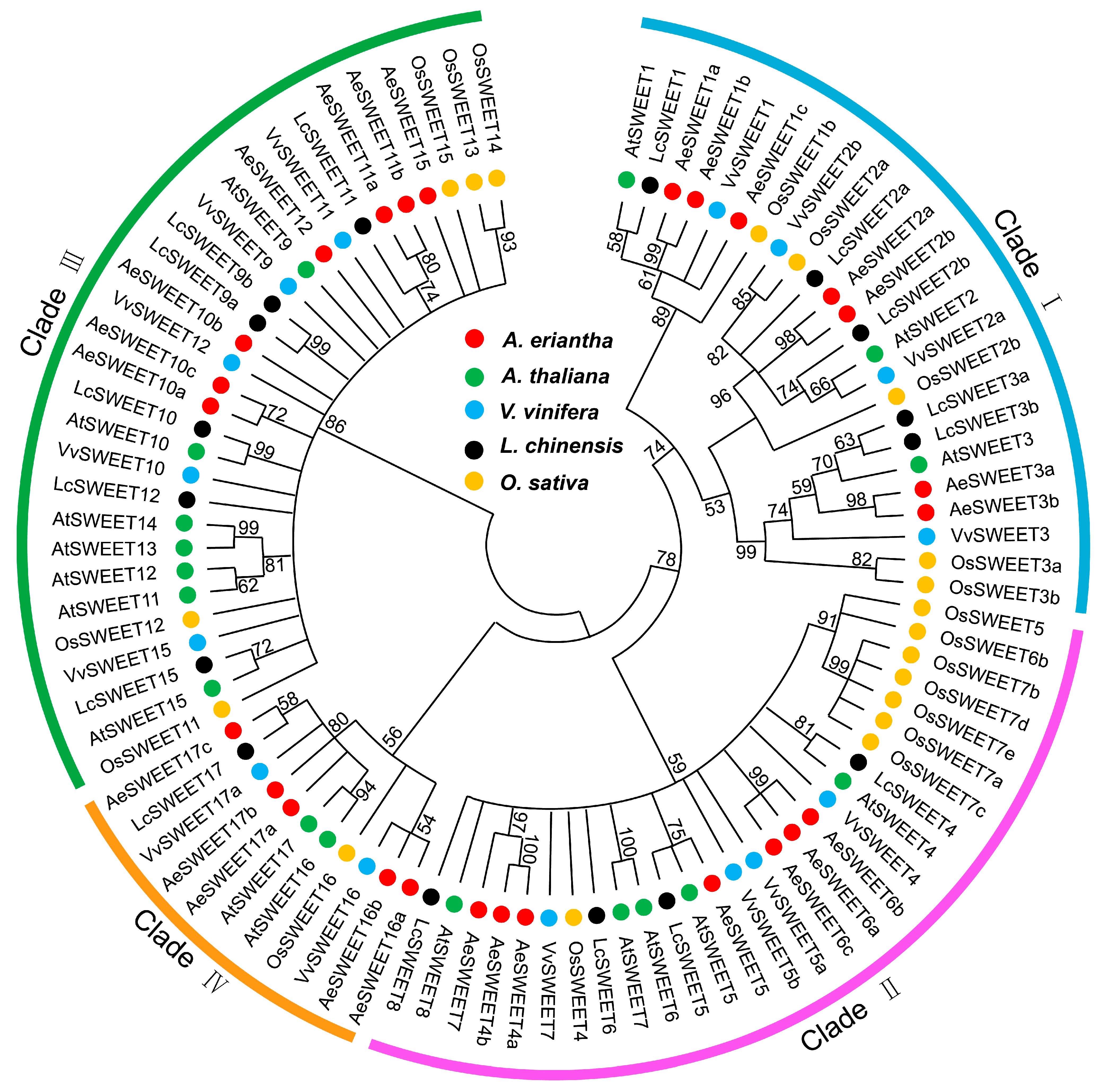 Plants 14 03140 g002