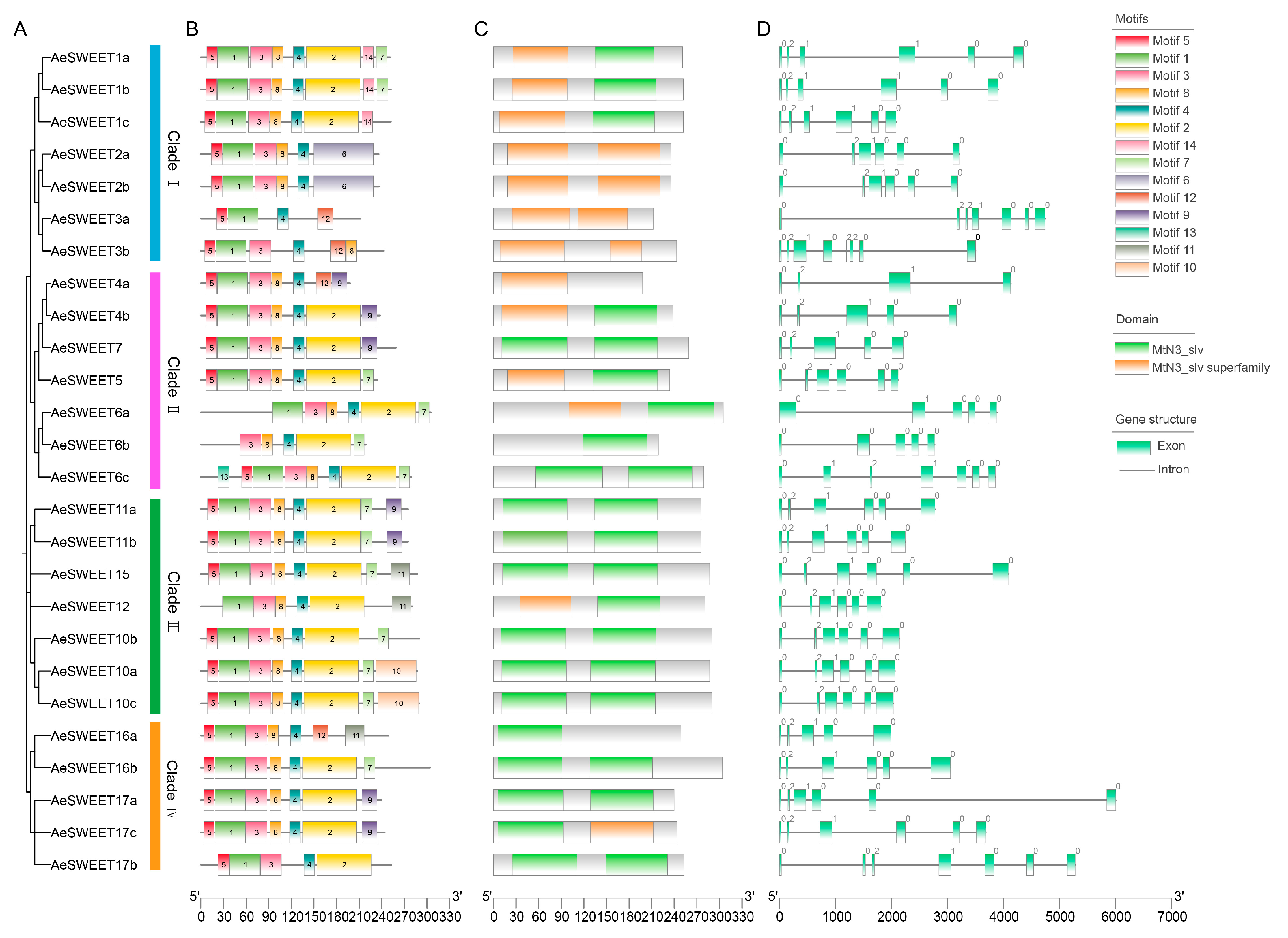 Plants 14 03140 g003