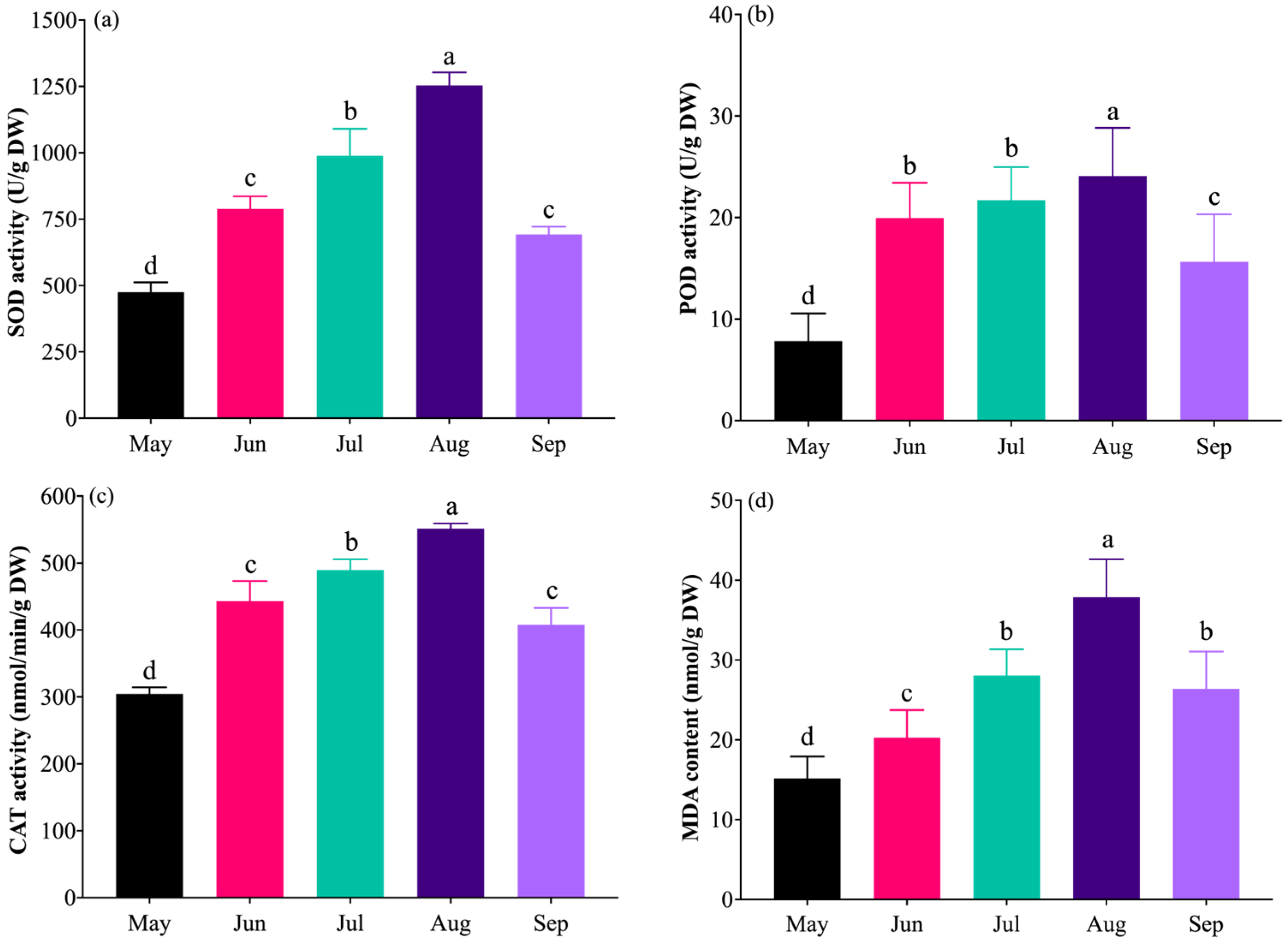 Plants 14 03142 g006