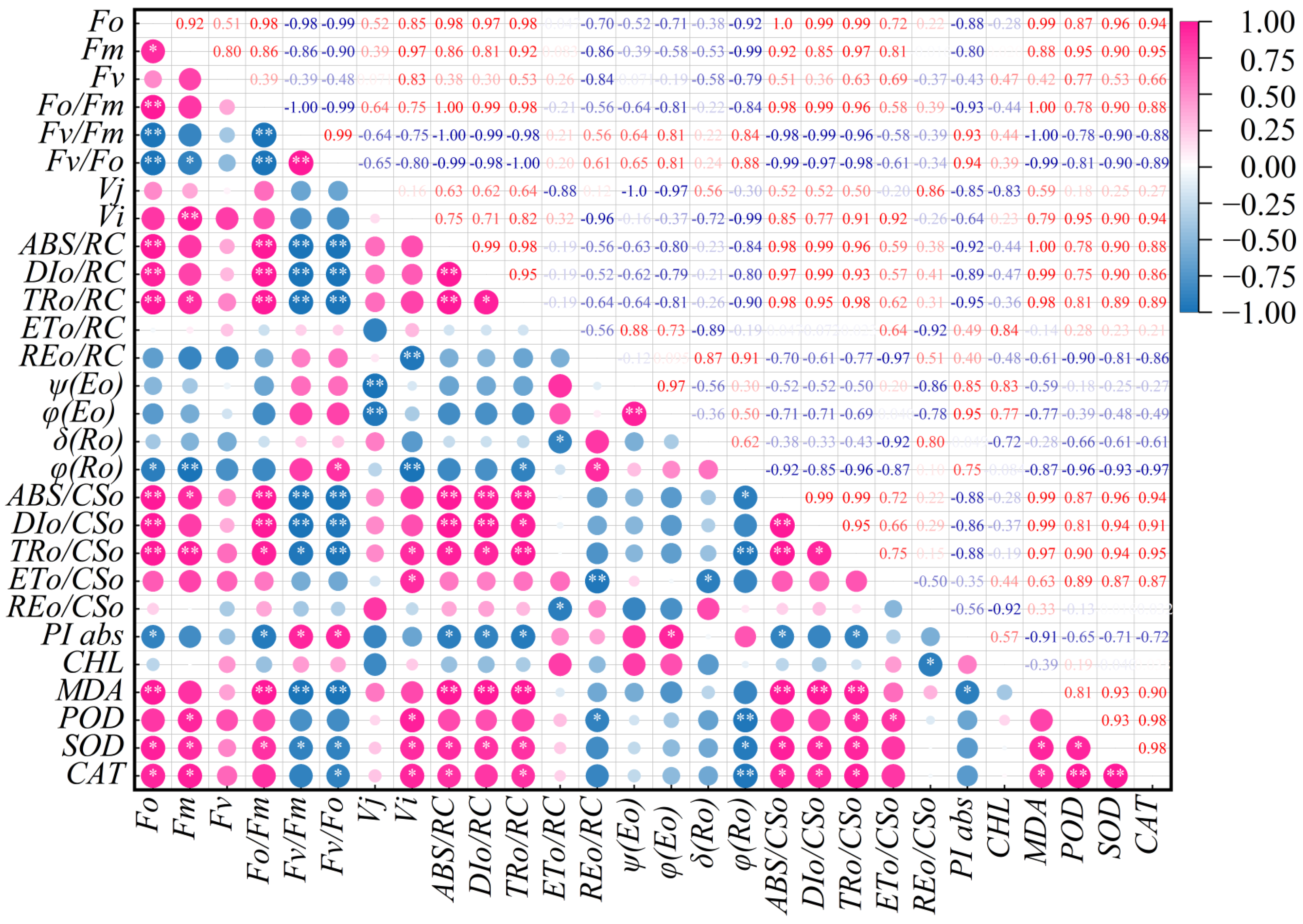 Plants 14 03142 g007