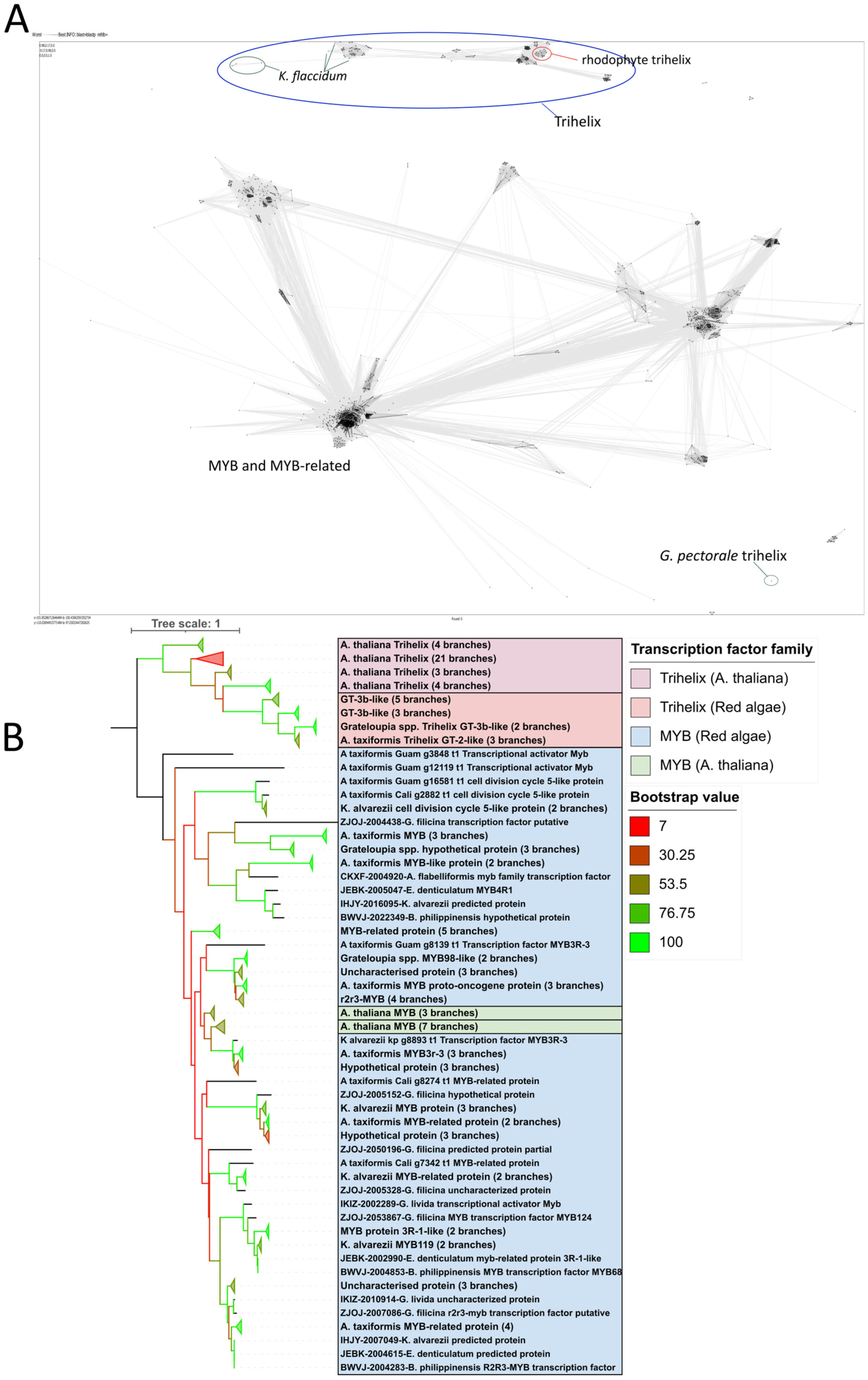 Plants 14 03143 g003
