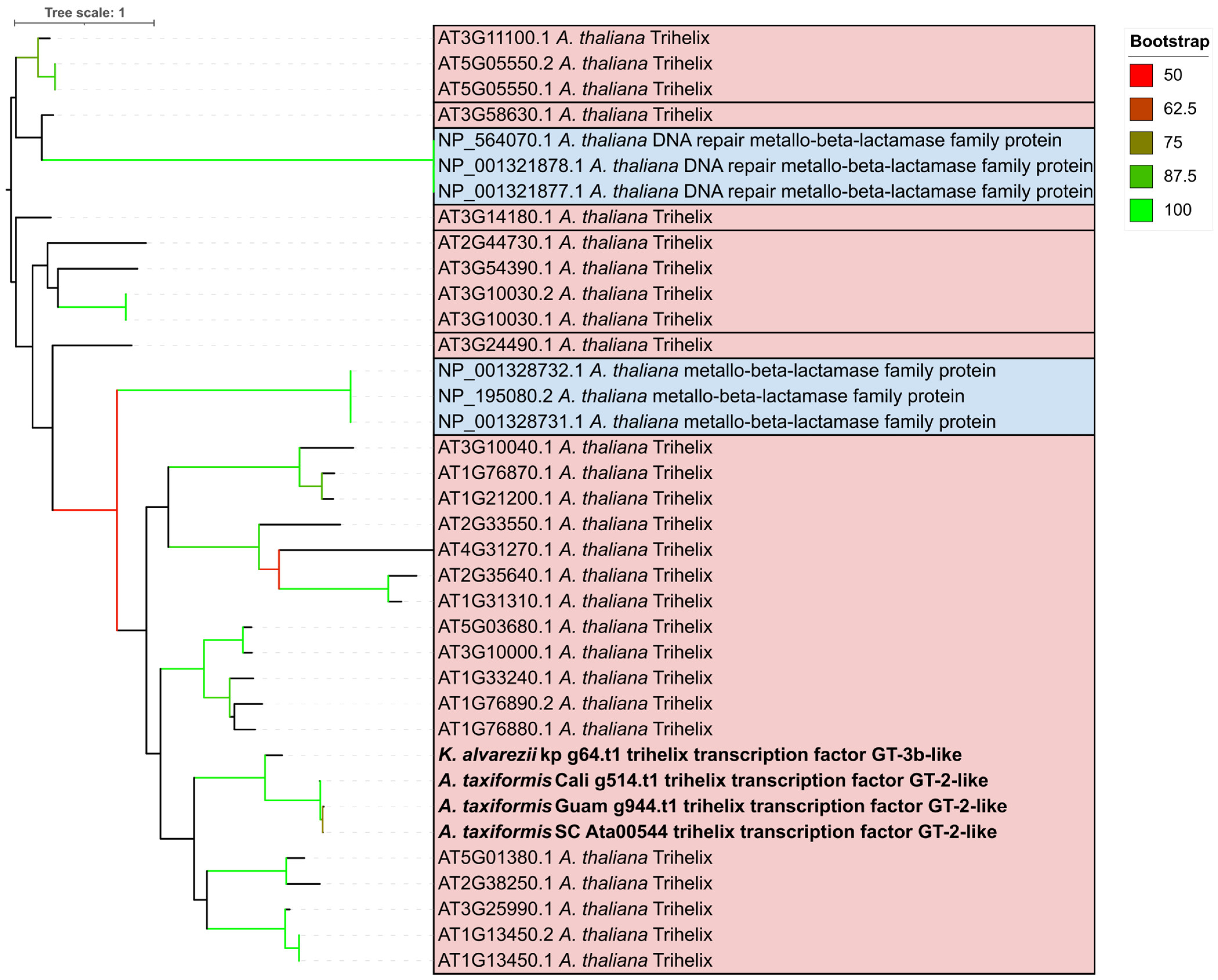 Plants 14 03143 g004