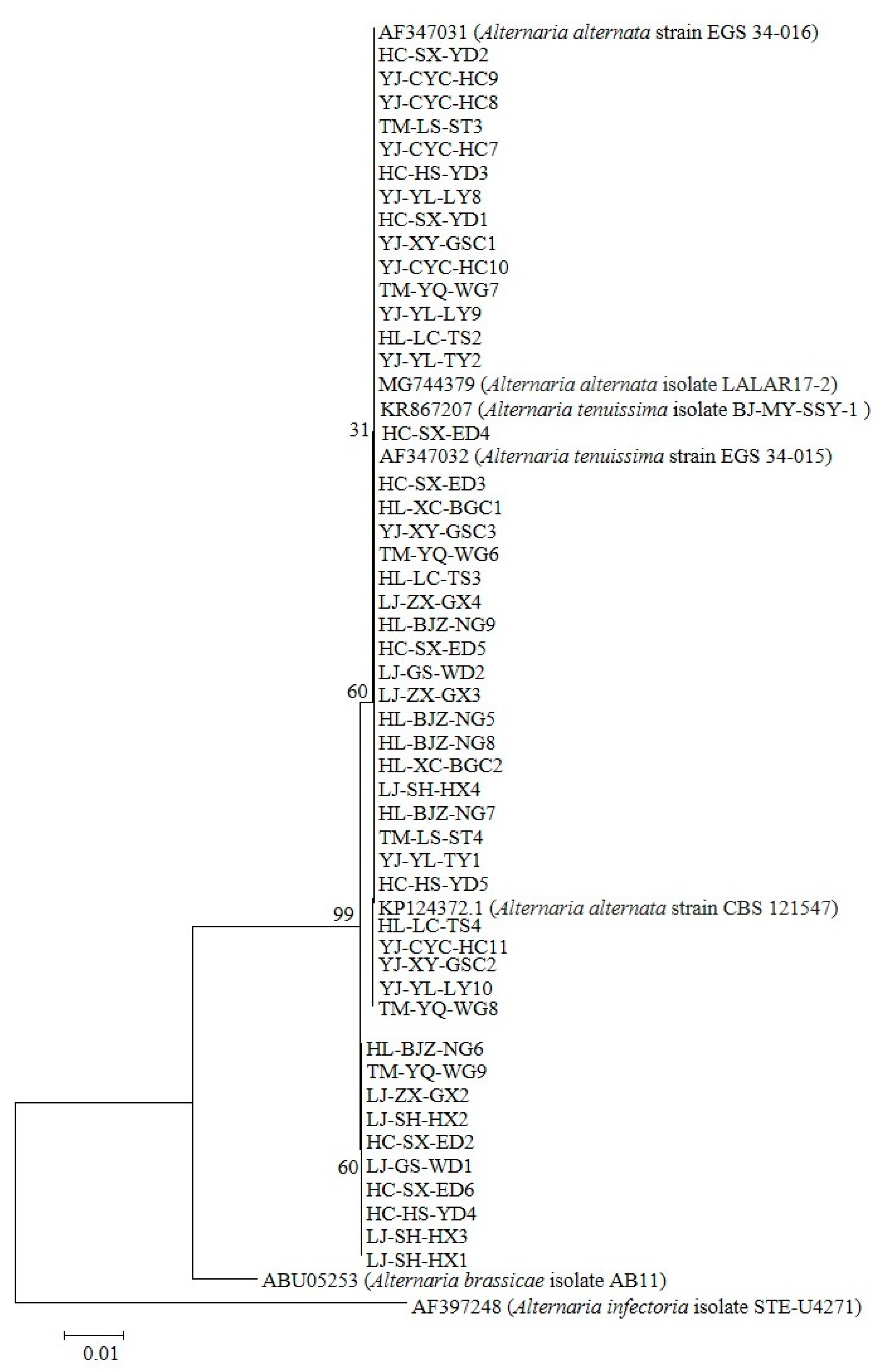 Plants 14 03146 g002