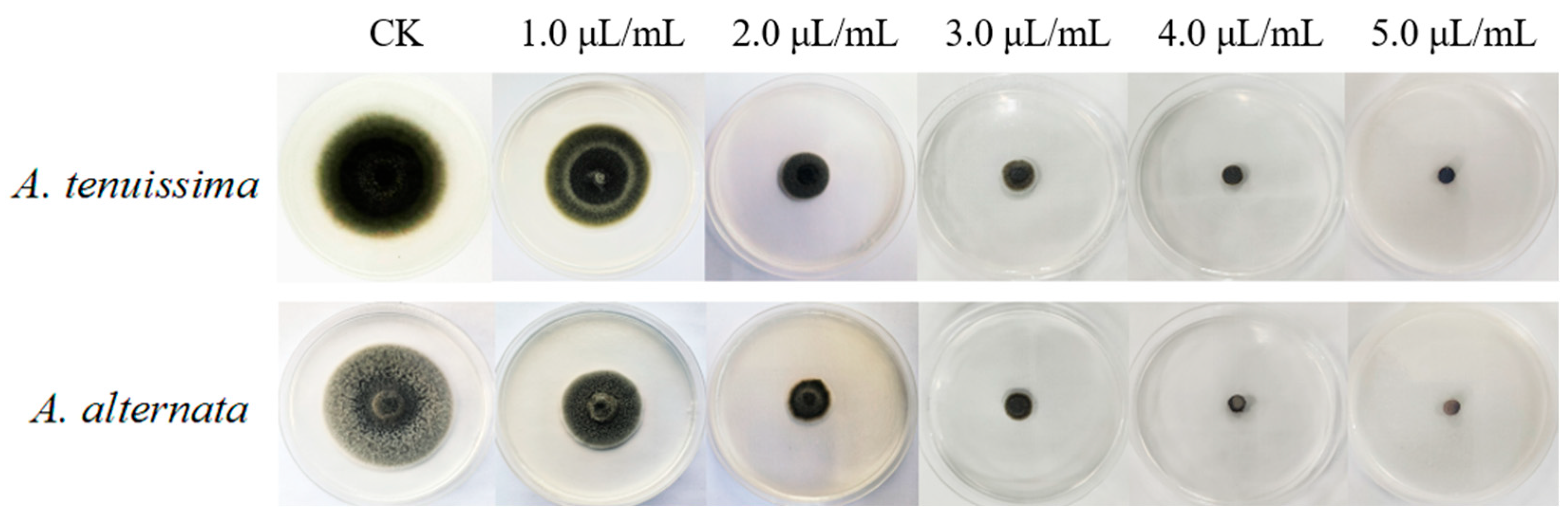 Plants 14 03146 g005