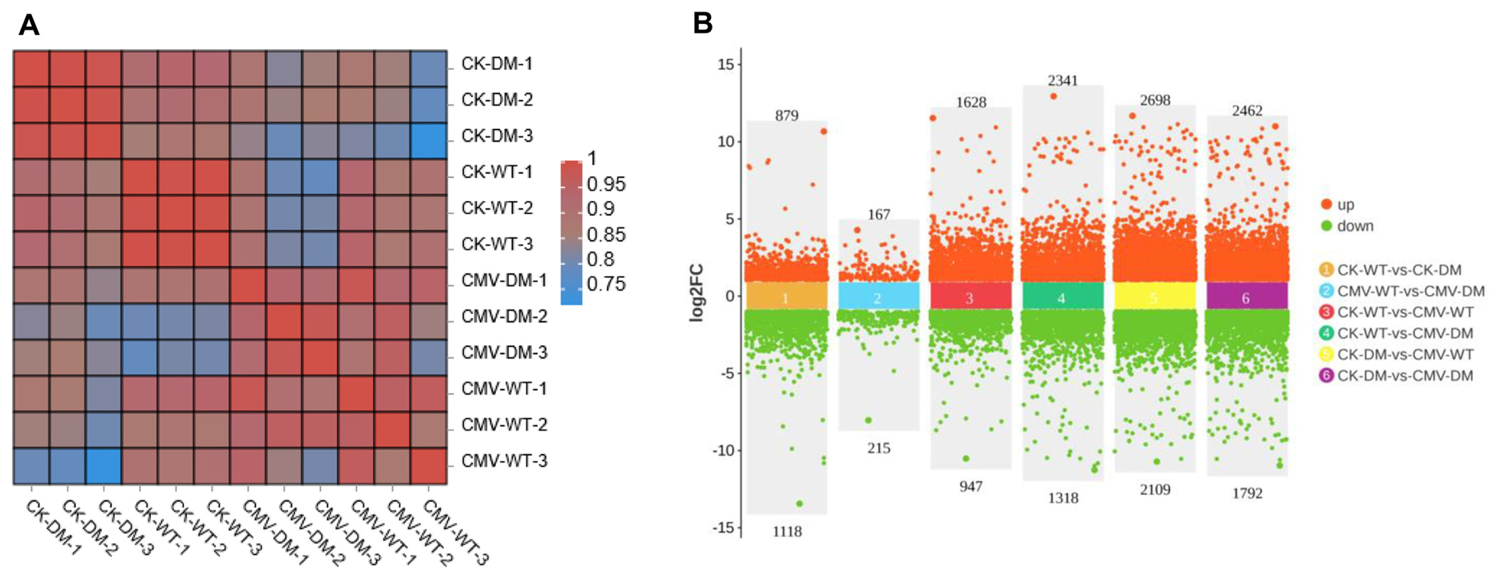 Plants 14 03147 g002