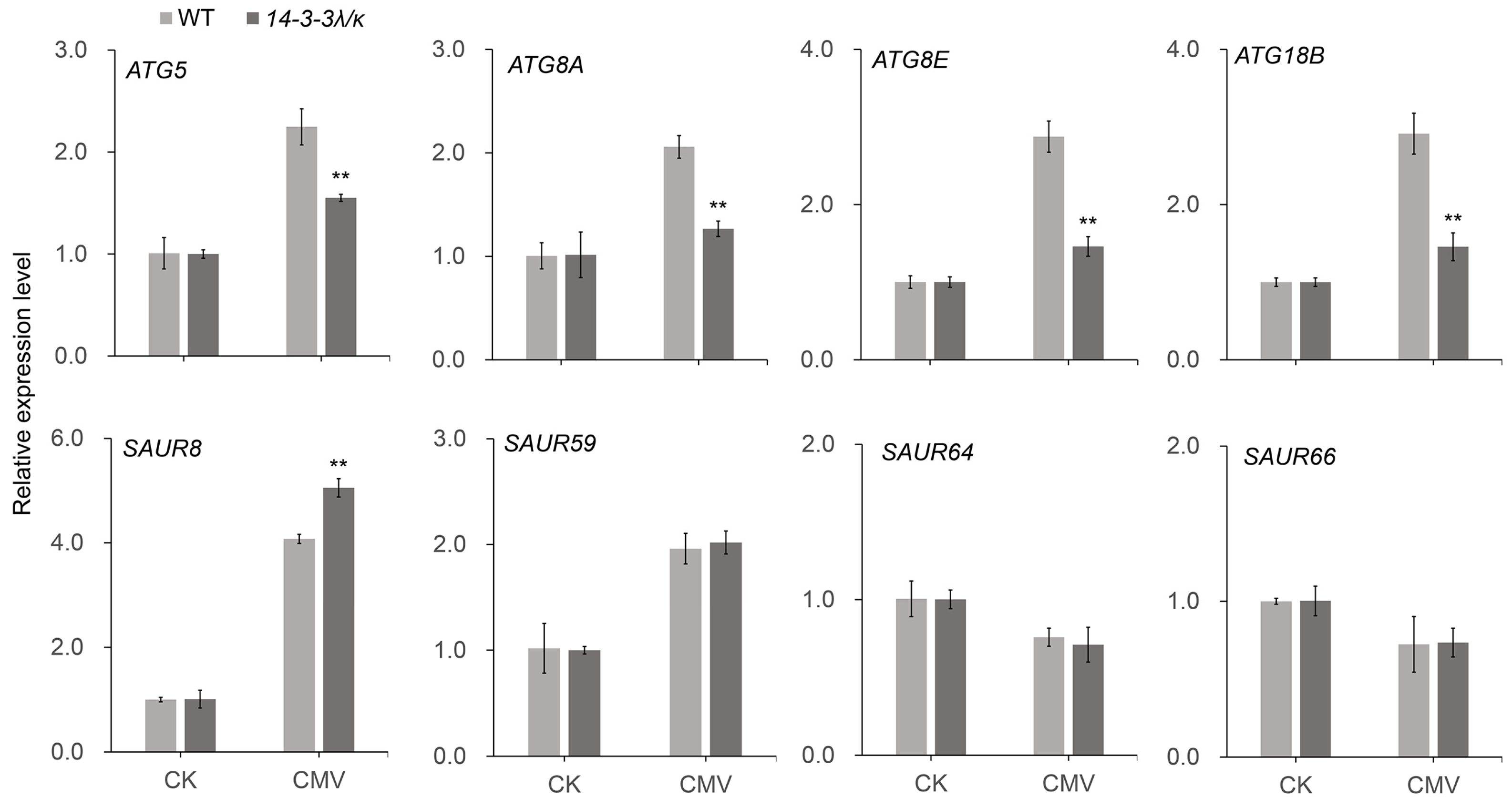 Plants 14 03147 g006