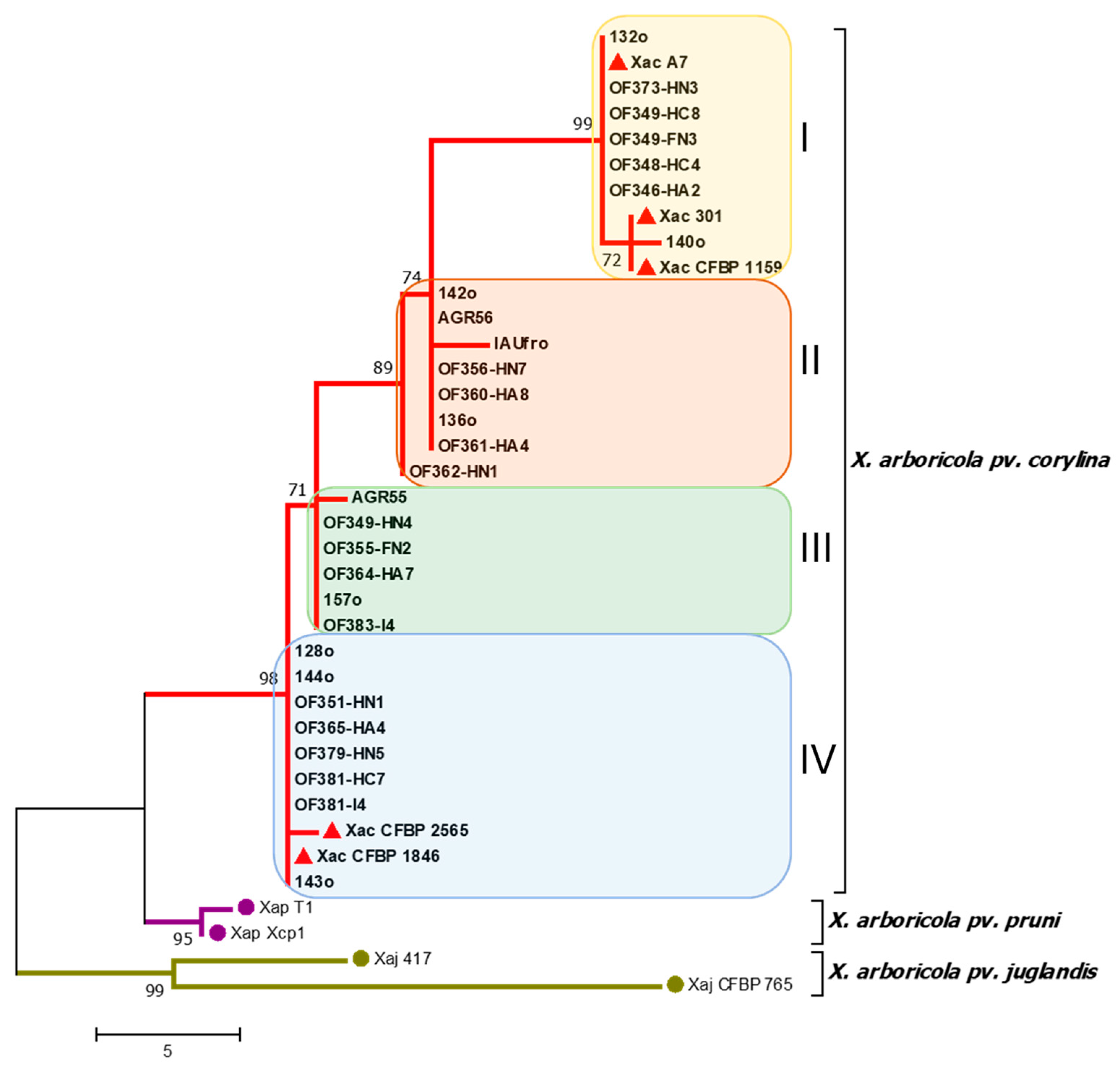 Plants 14 03148 g002