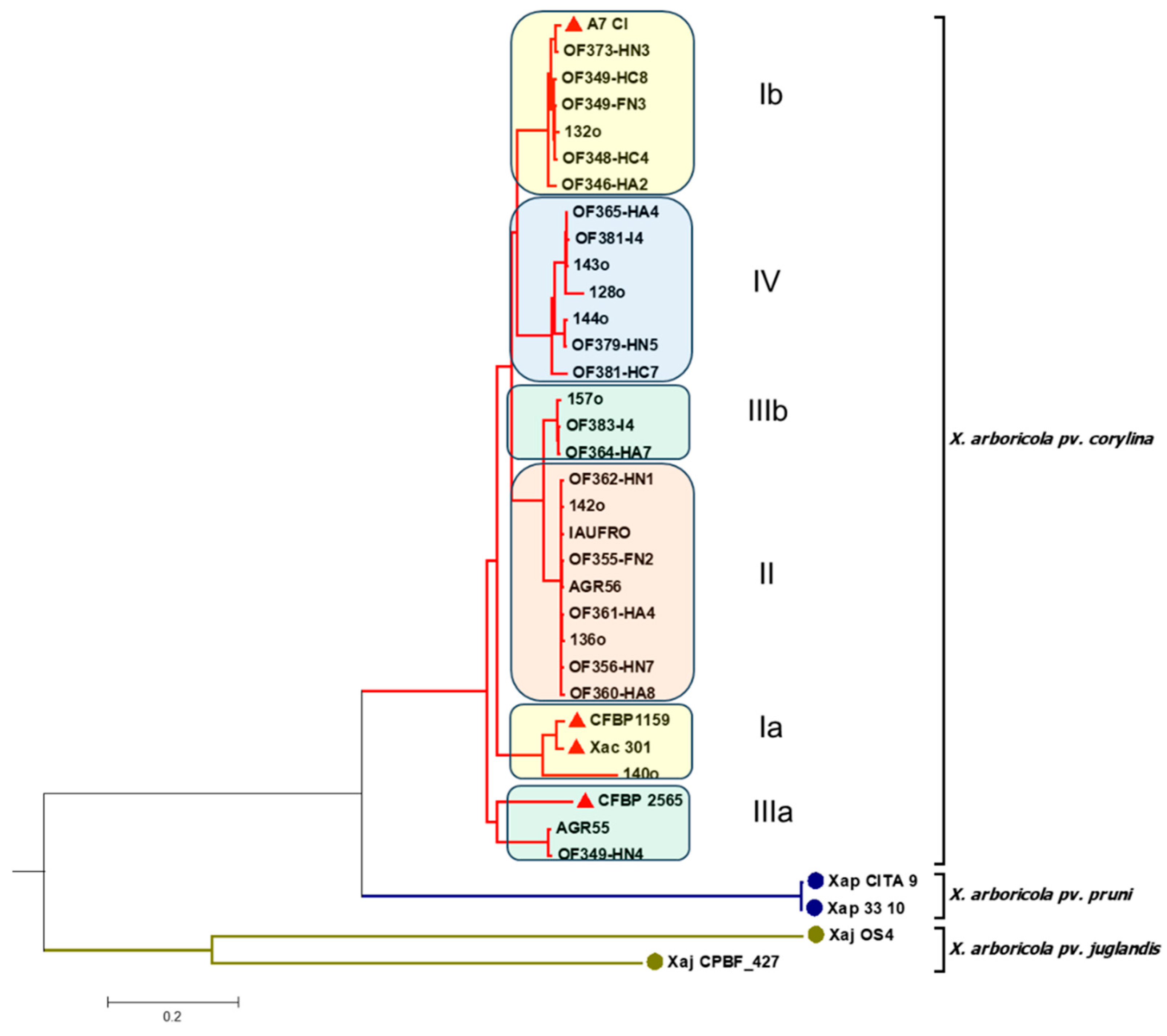 Plants 14 03148 g003