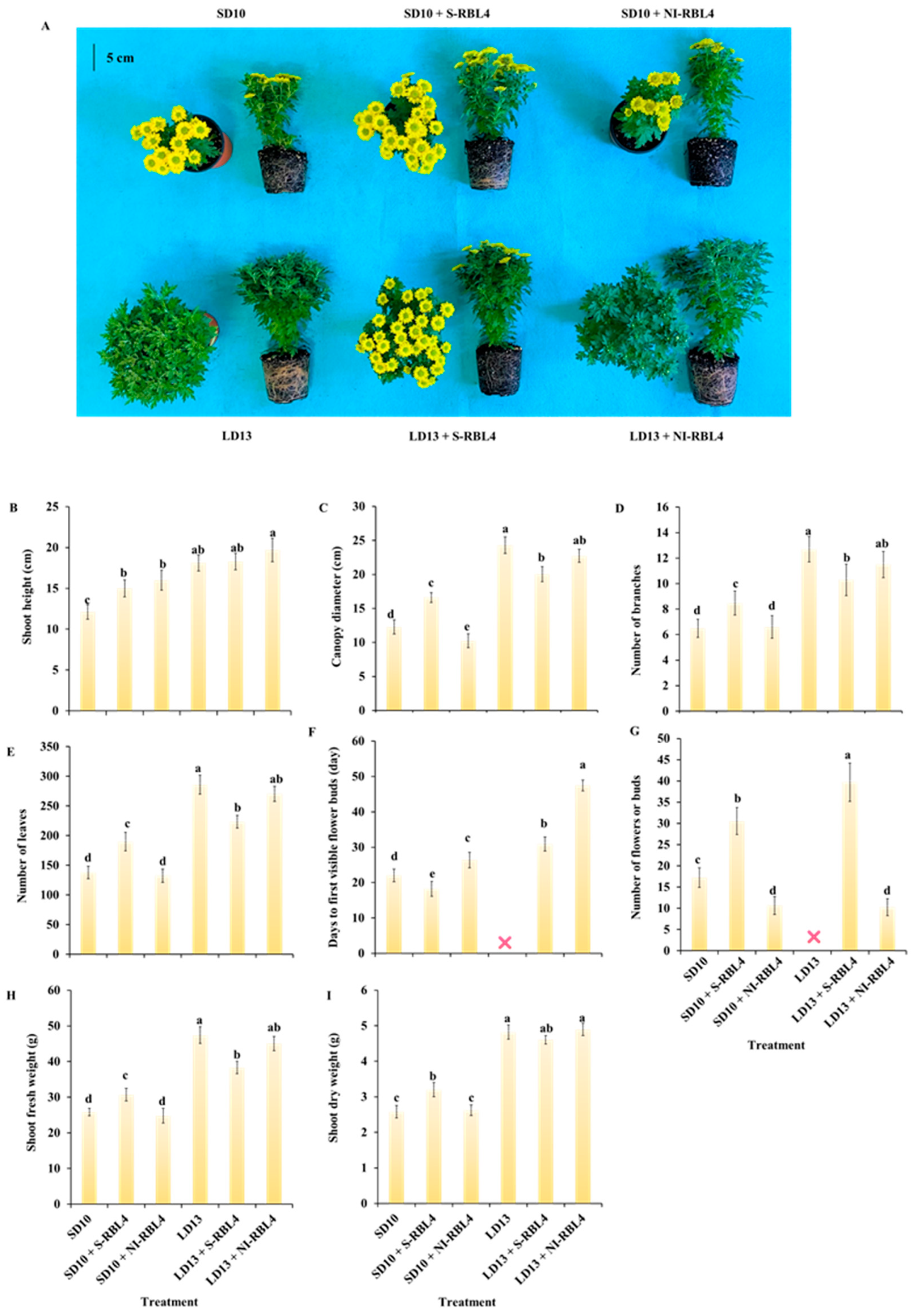 Plants 14 03151 g001