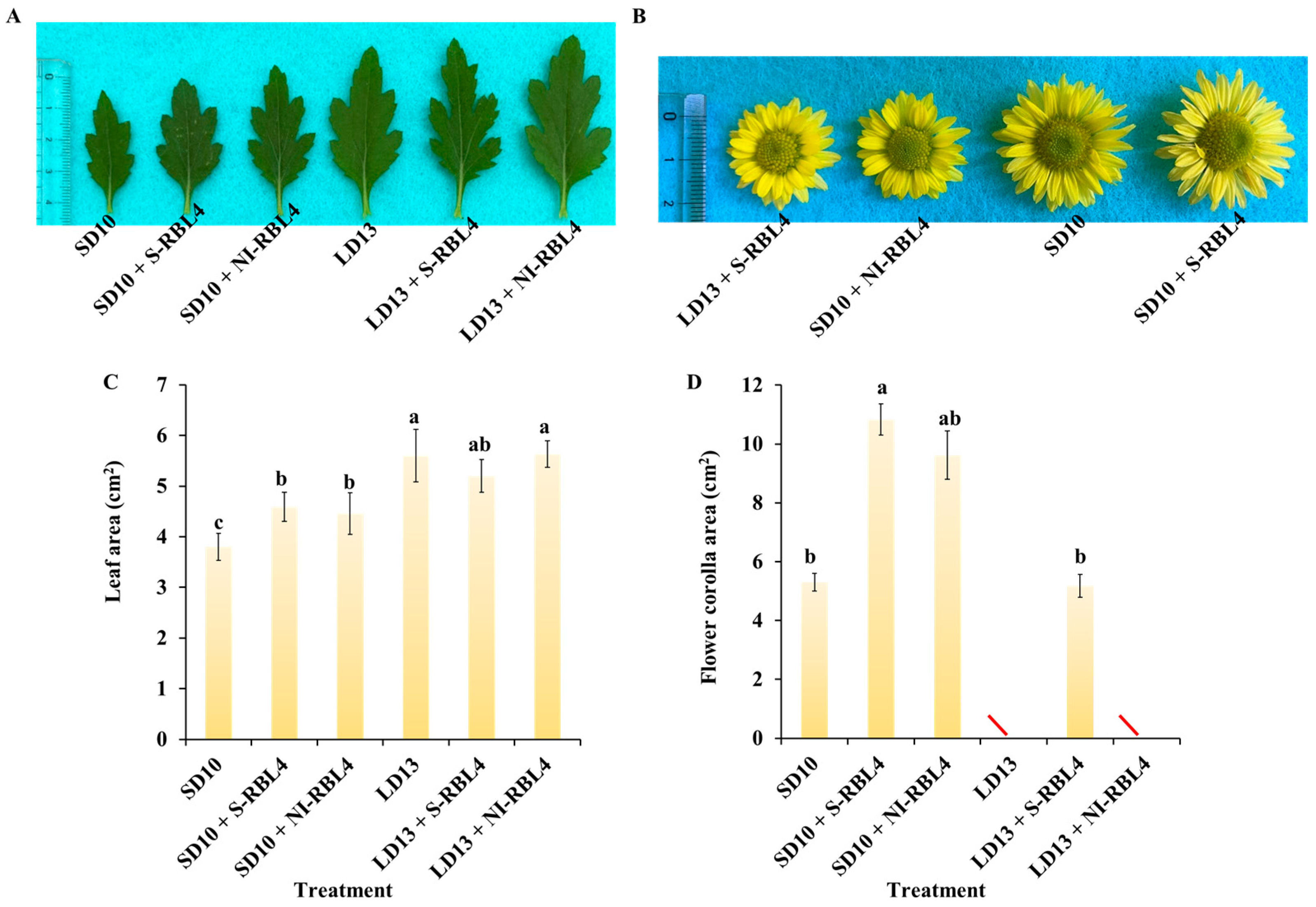 Plants 14 03151 g002