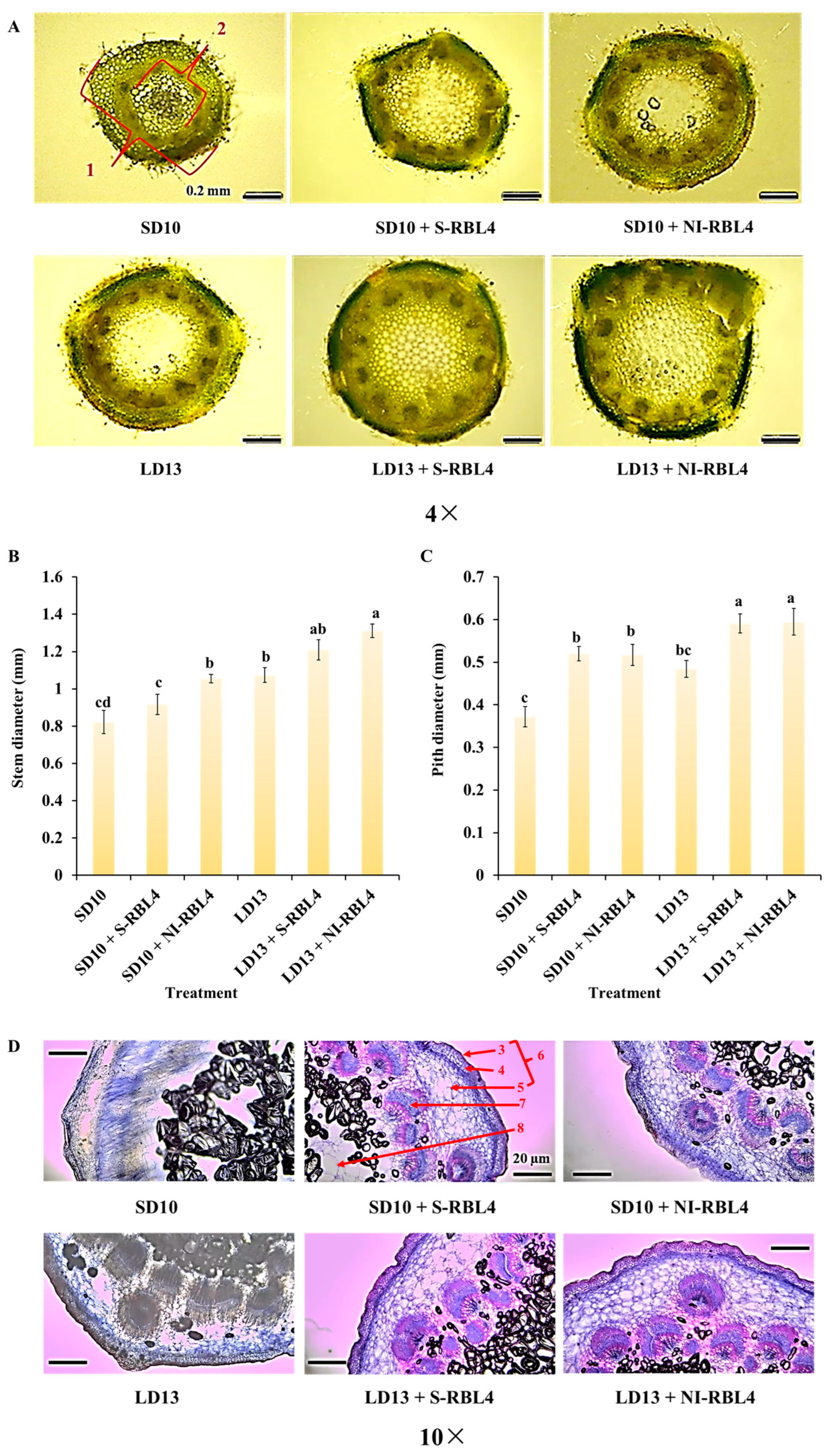 Plants 14 03151 g003