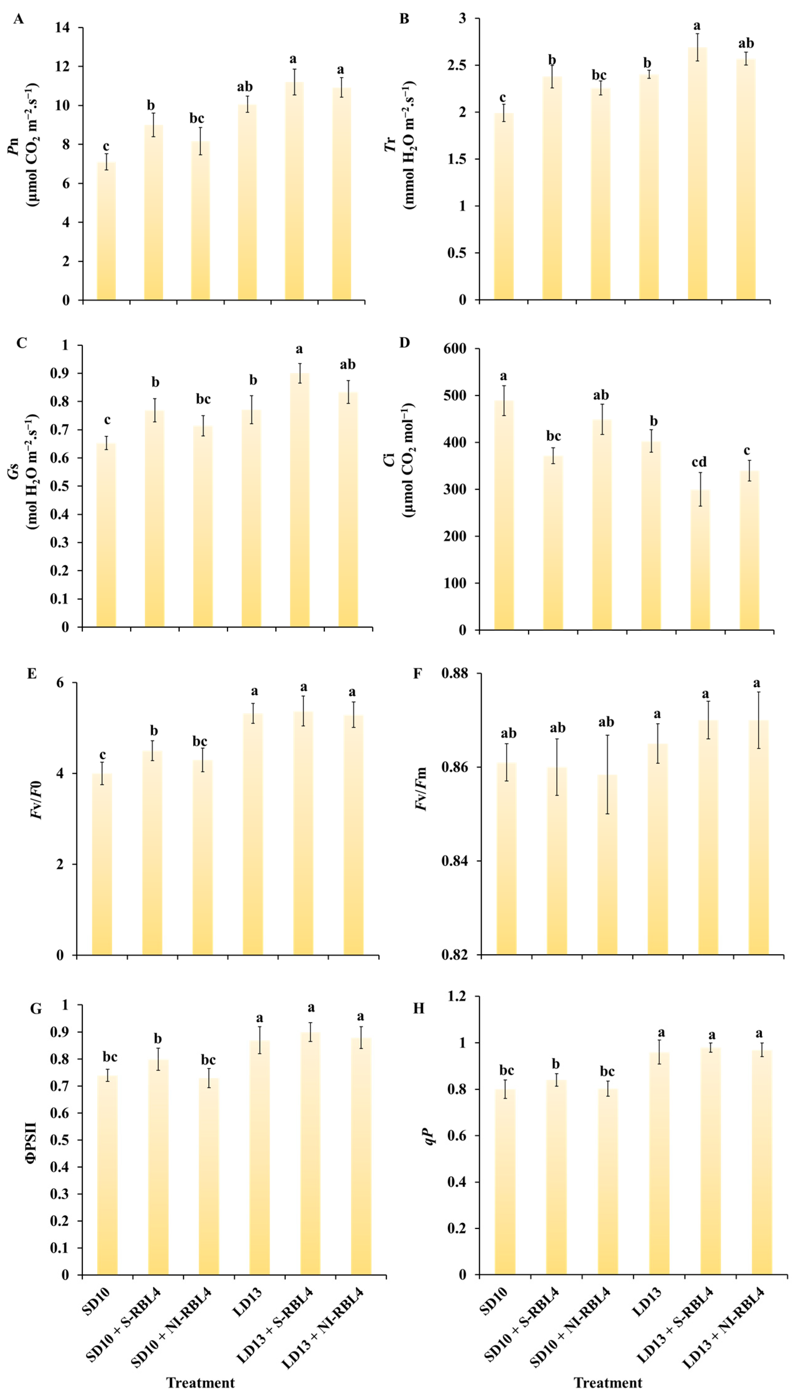 Plants 14 03151 g006