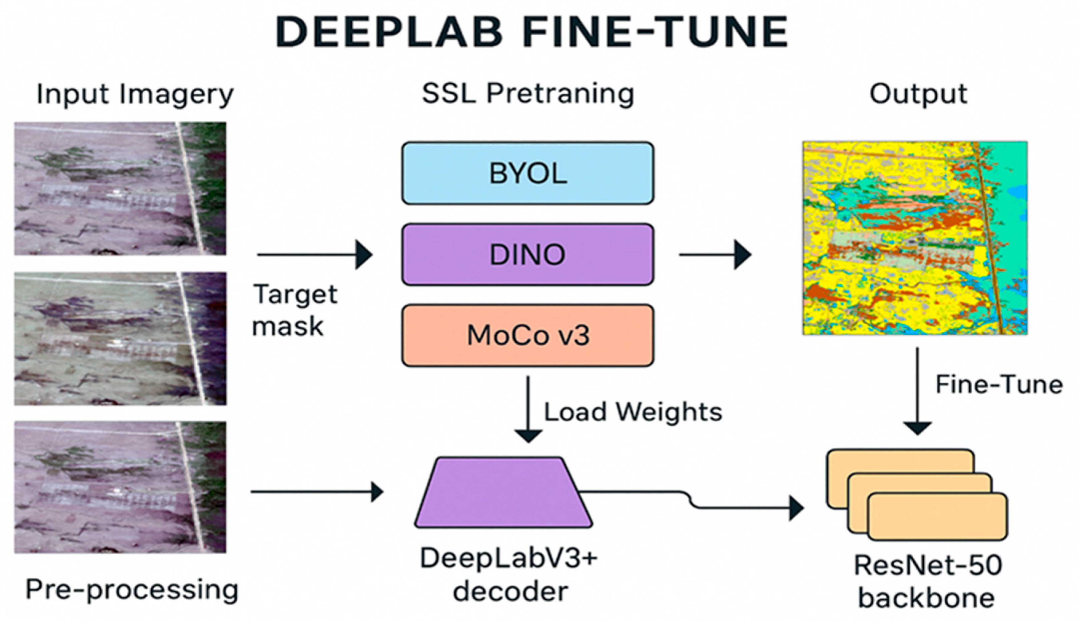 Plants 14 03153 g002