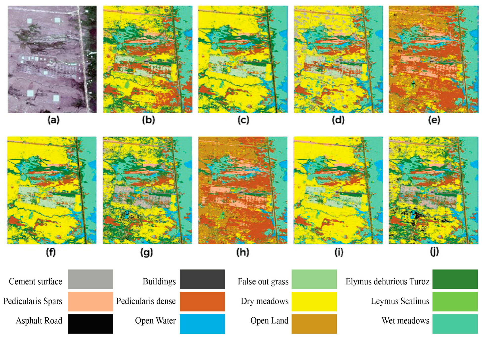 Plants 14 03153 g003