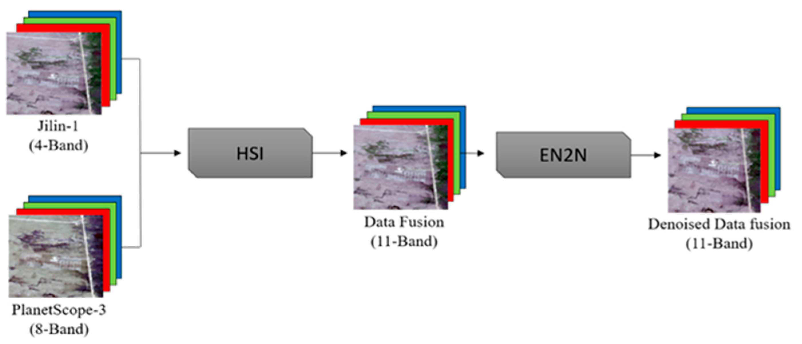 Plants 14 03153 g006