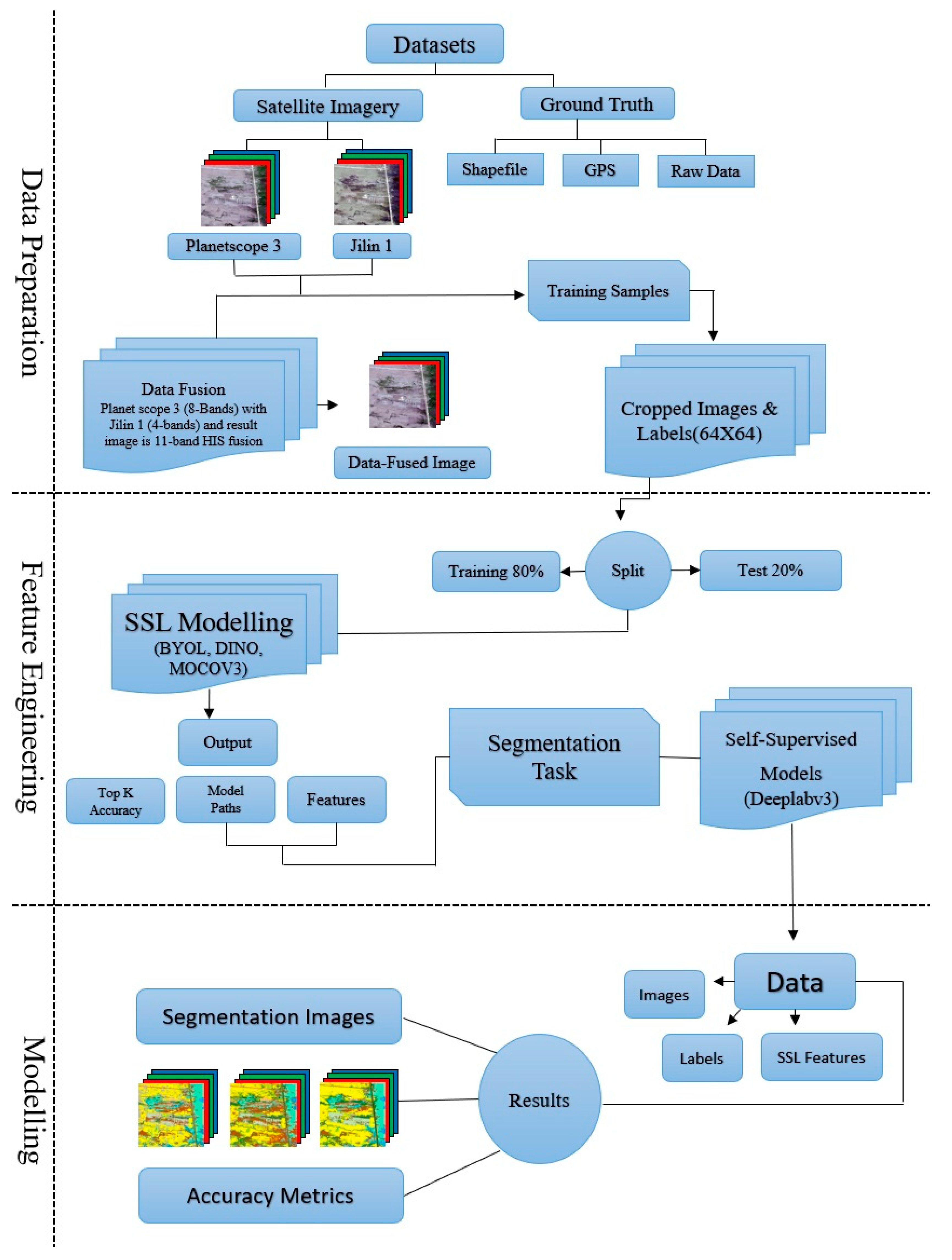 Plants 14 03153 g007