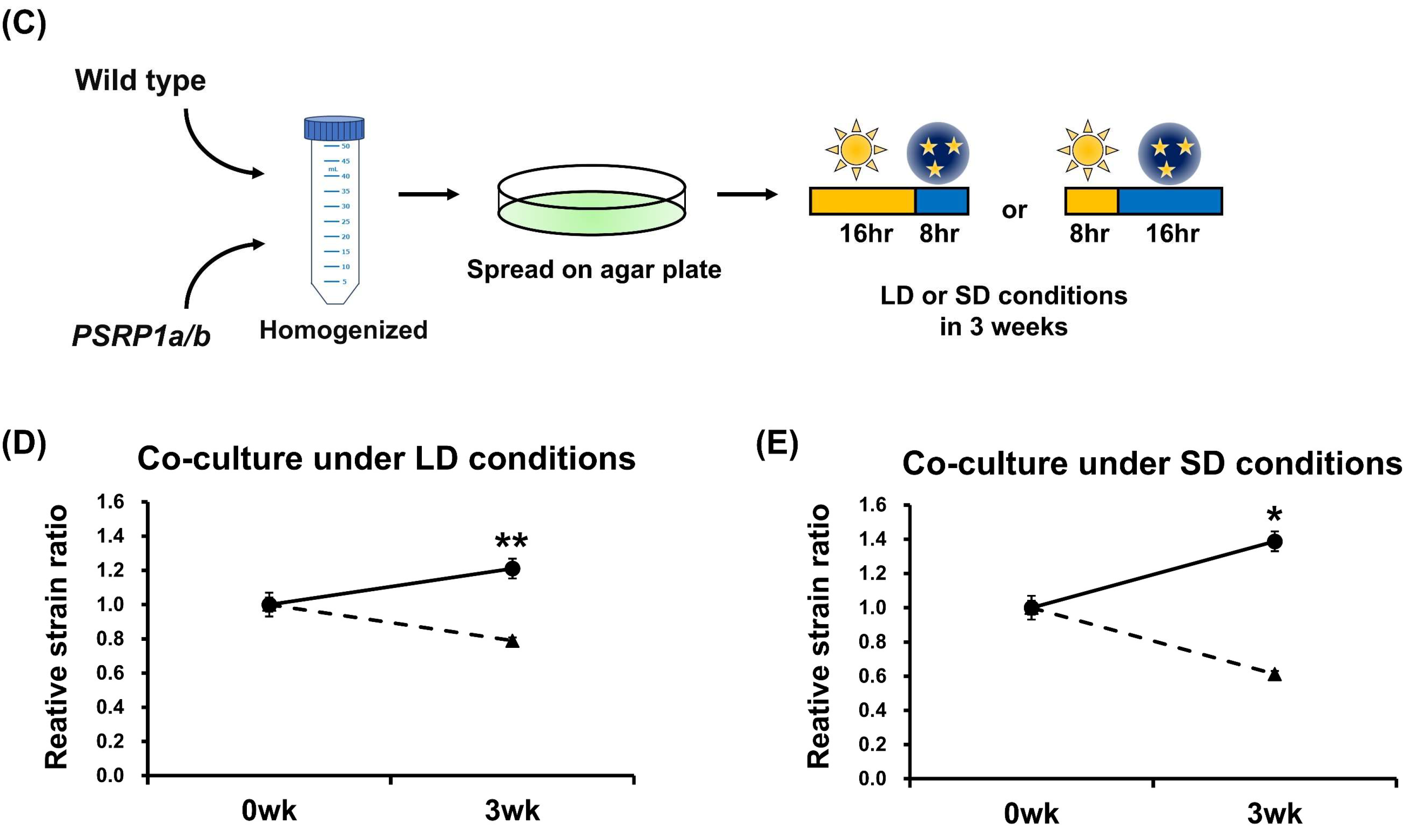 Plants 14 03155 g002b Plants 14 03155 g002b