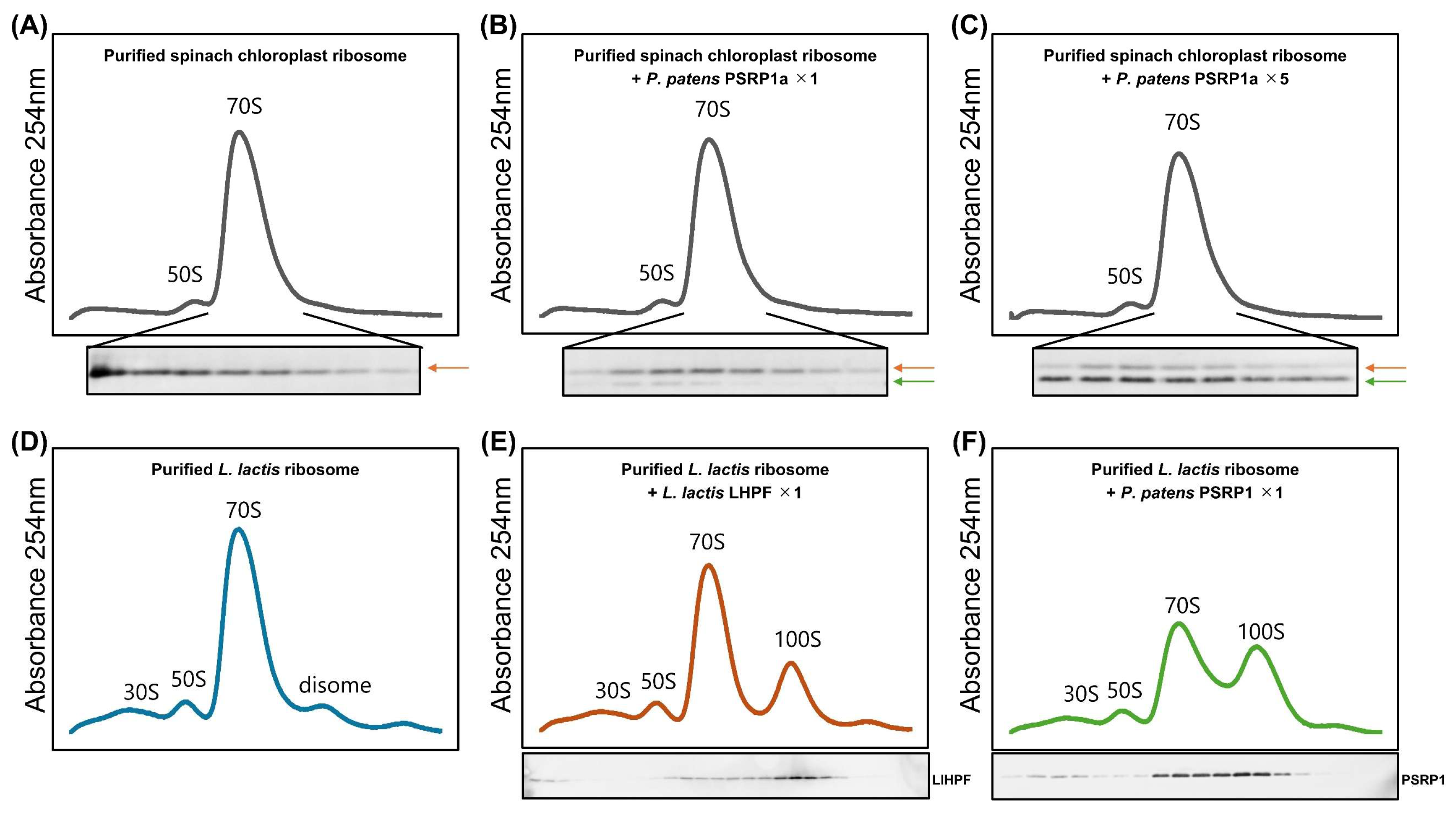 Plants 14 03155 g005 Plants 14 03155 g005