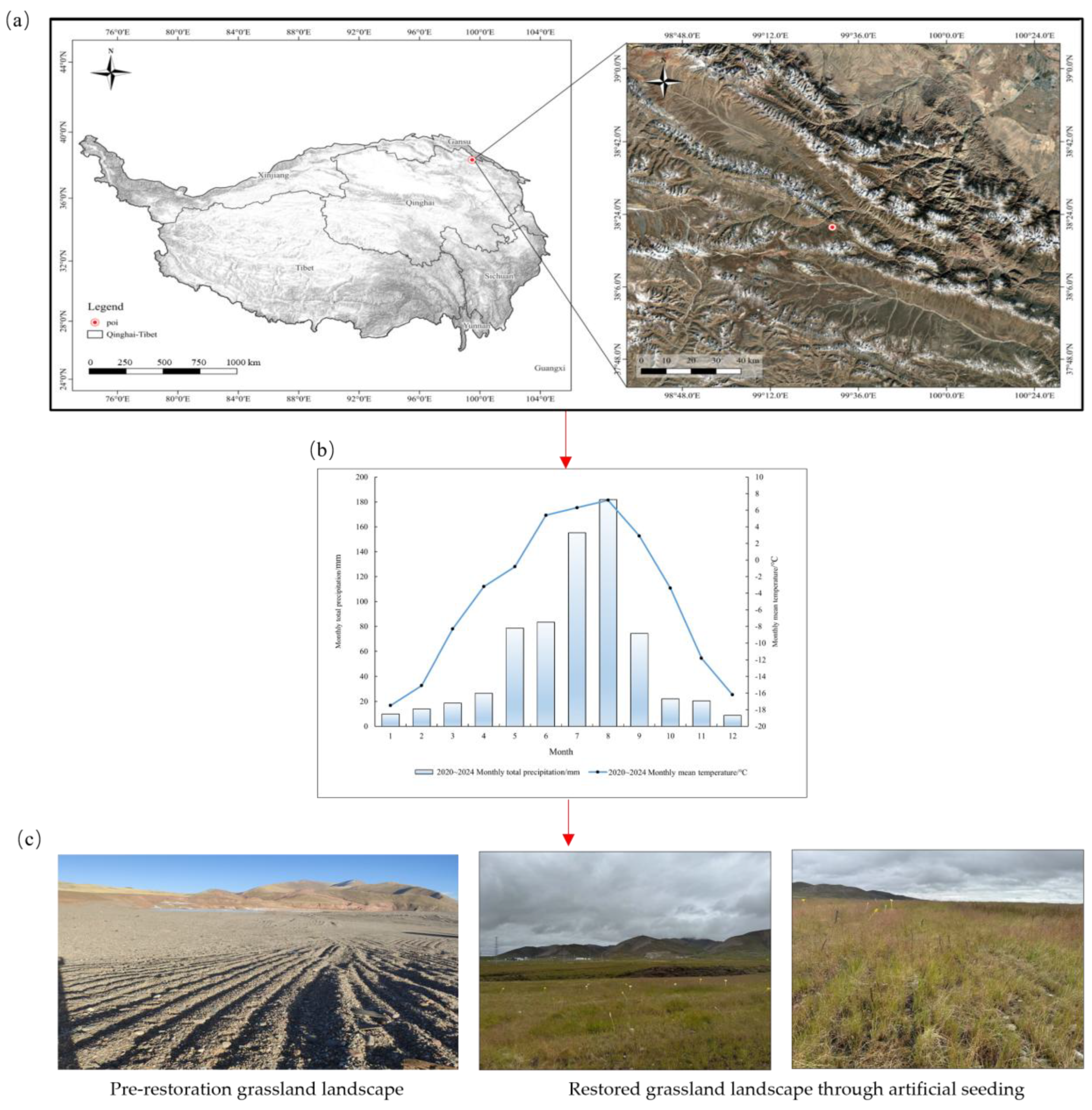 Plants 14 03156 g008
