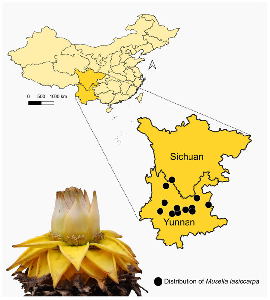 Beyond Bees: Evidence of Bird Visitation and Putative Pollination