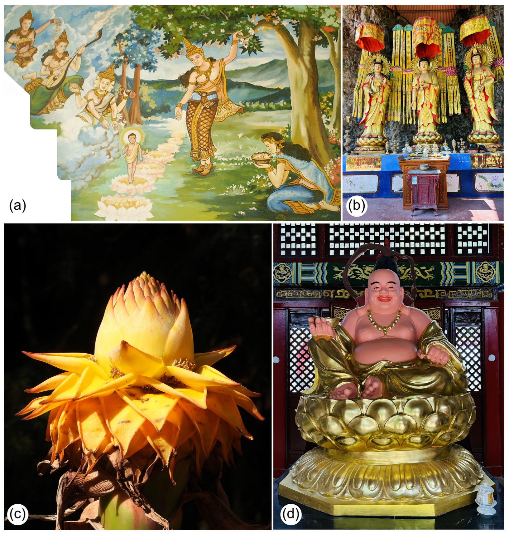 Plants 14 03157 g006