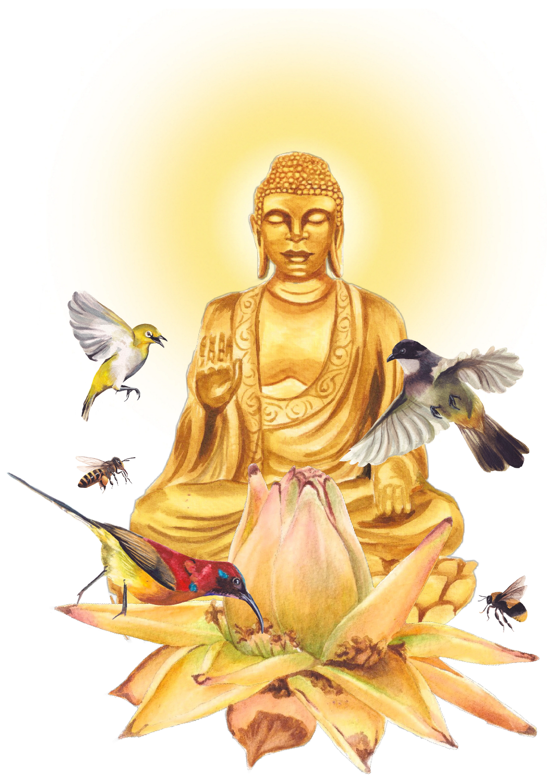 Plants 14 03157 g007