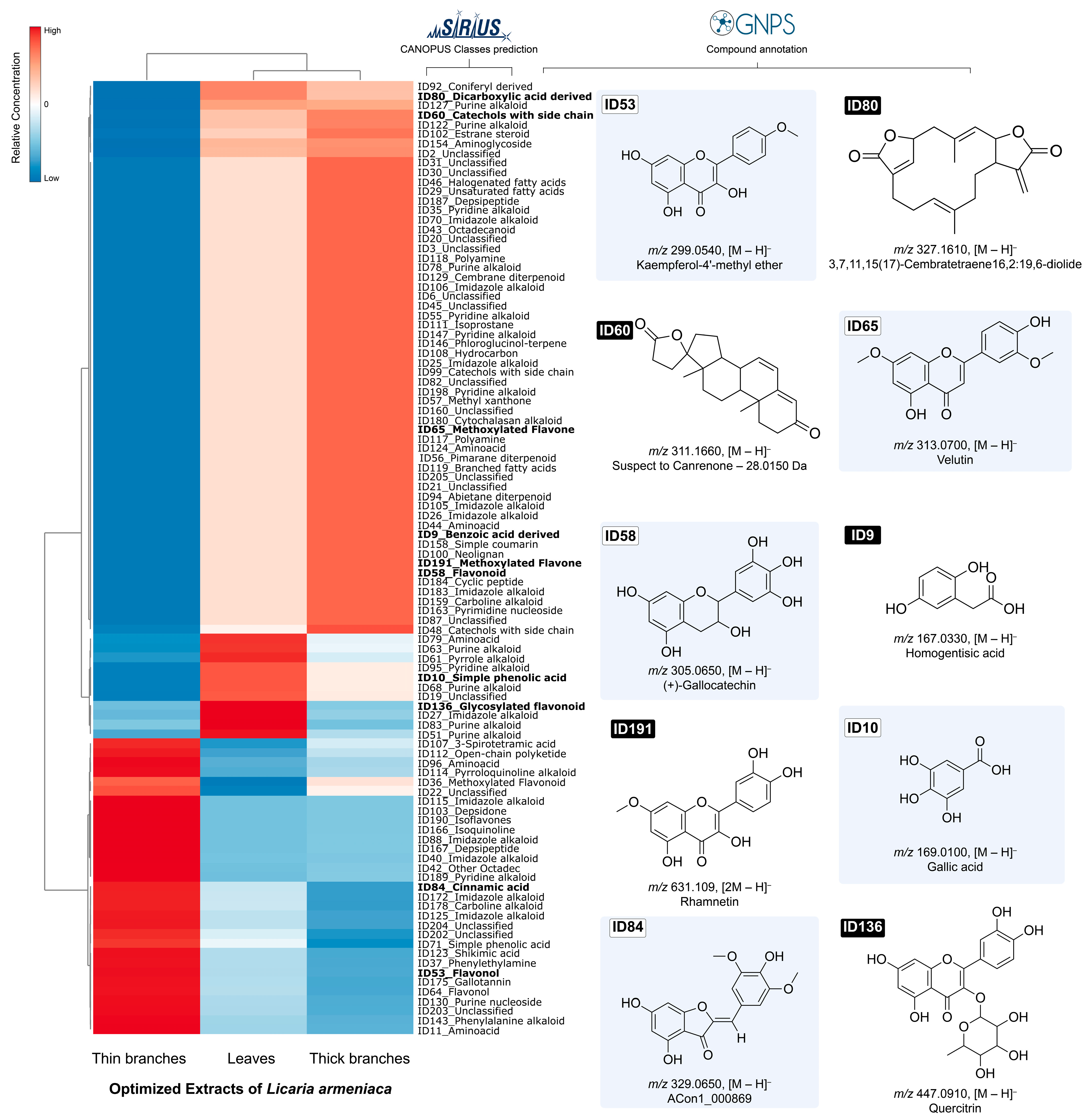 Plants 14 03158 g005