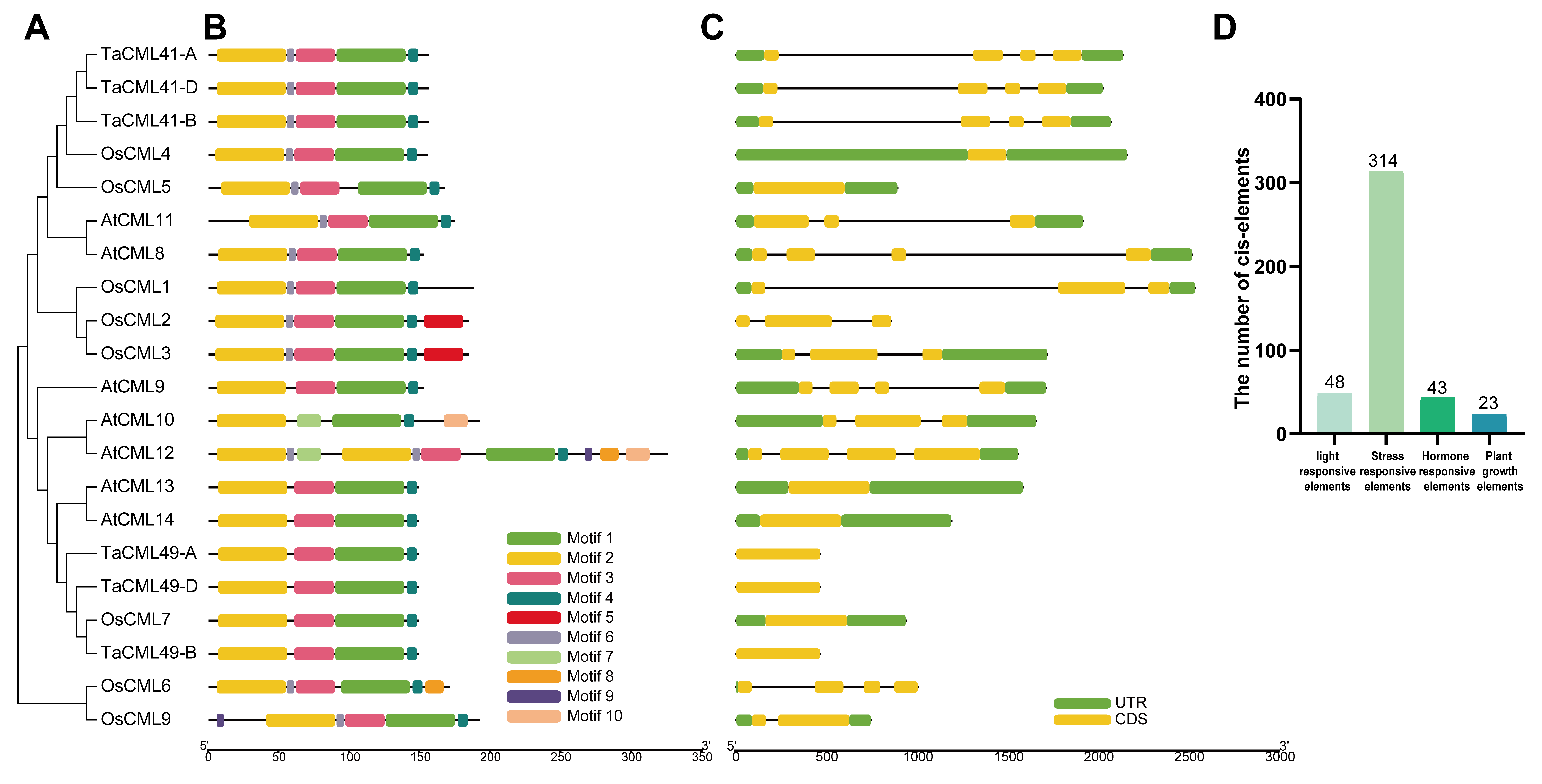 Plants 14 03163 g001