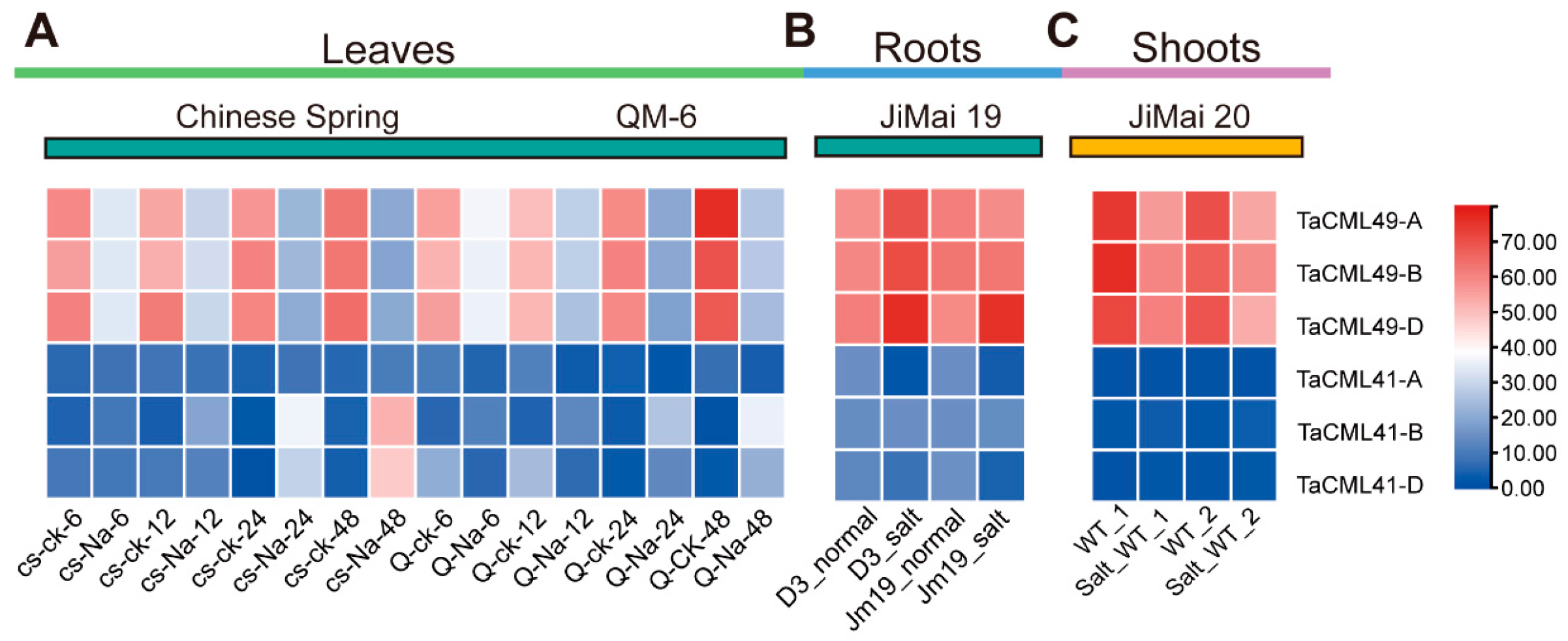 Plants 14 03163 g002