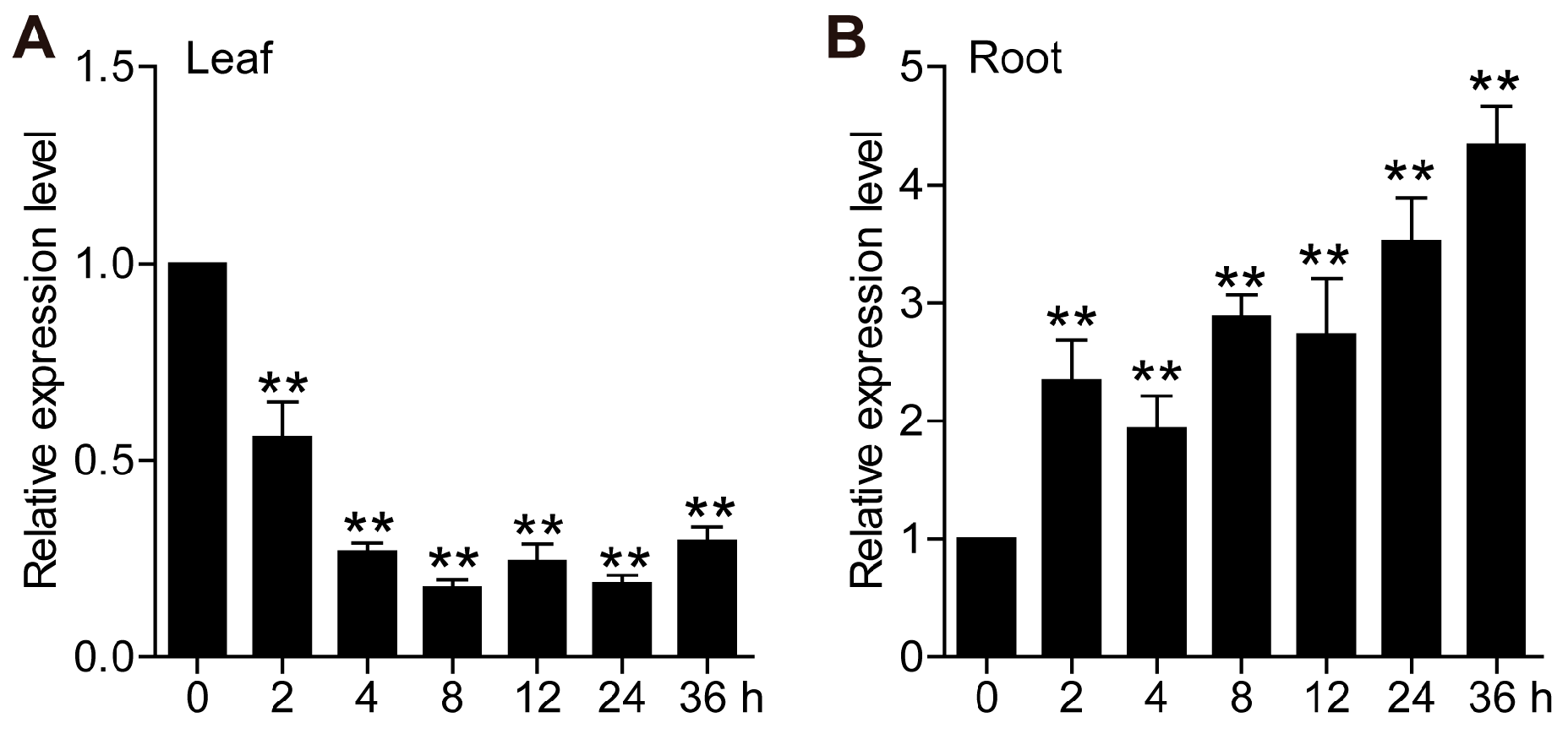 Plants 14 03163 g003