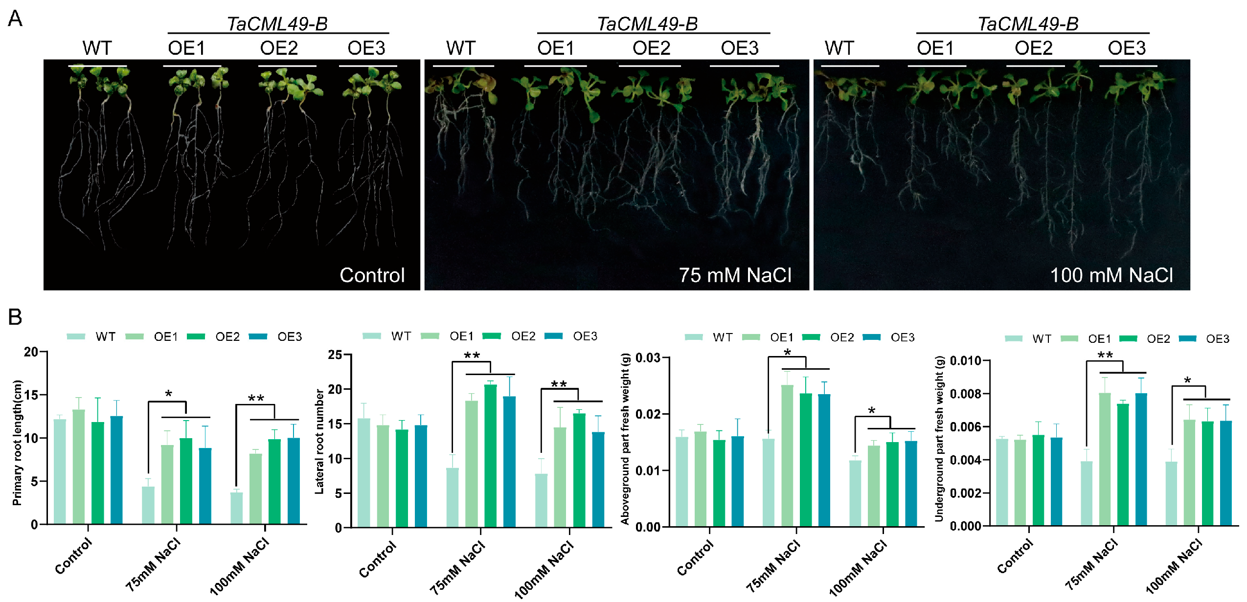 Plants 14 03163 g005