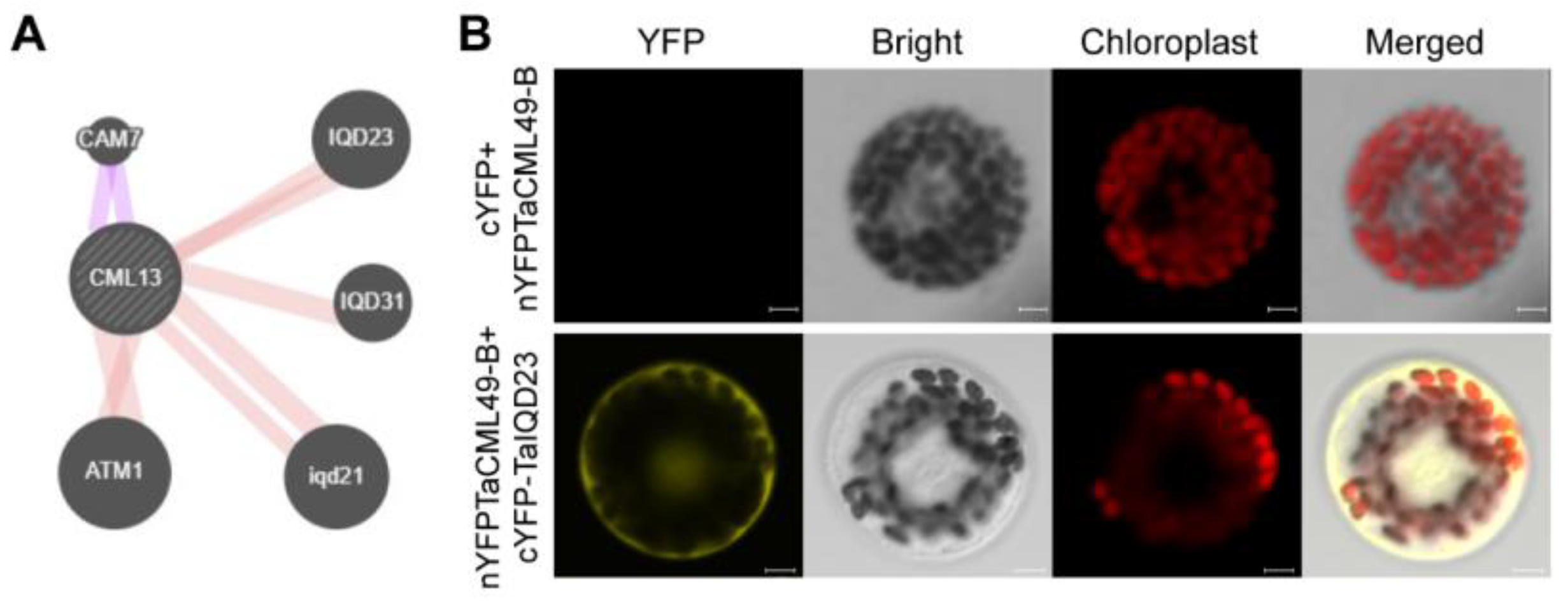 Plants 14 03163 g008