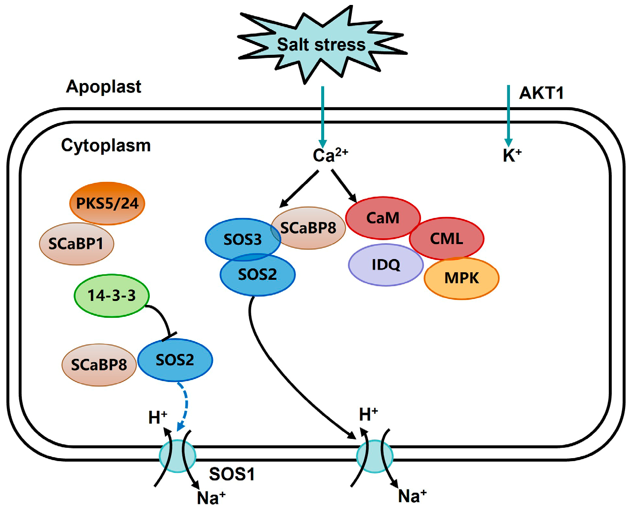 Plants 14 03163 g009