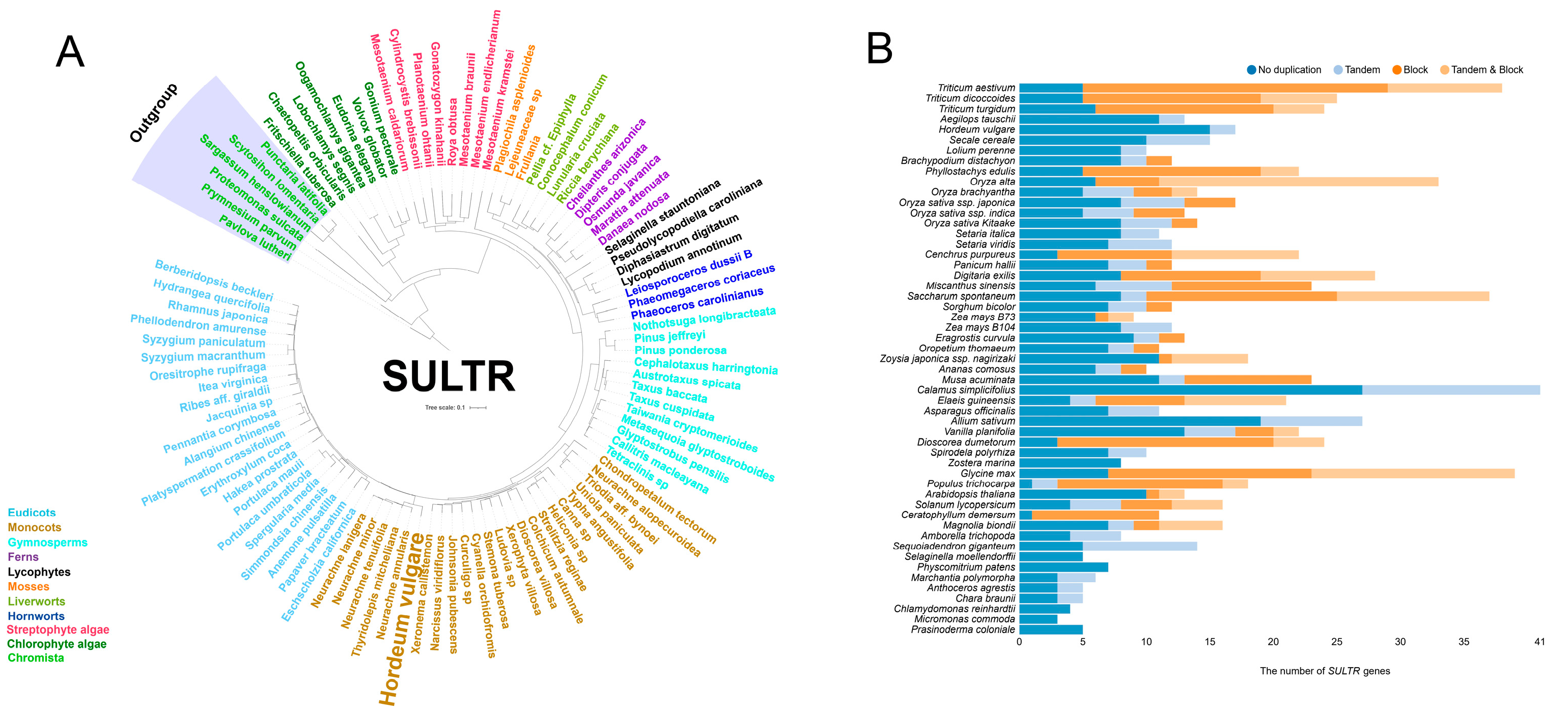 Plants 14 03165 g001