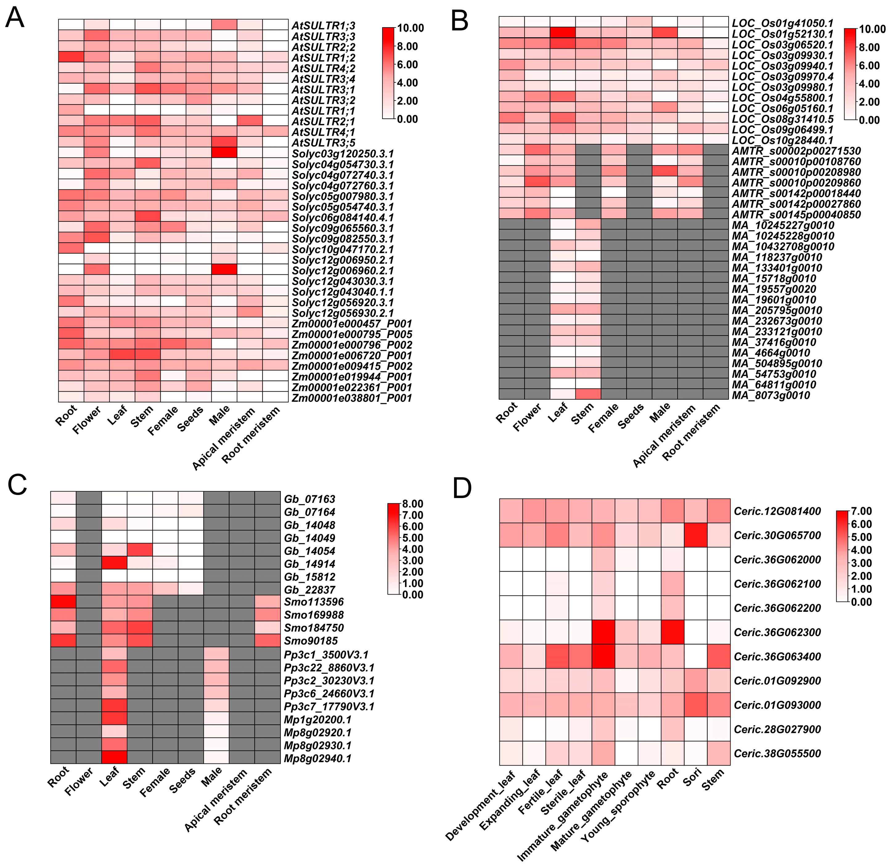 Plants 14 03165 g002