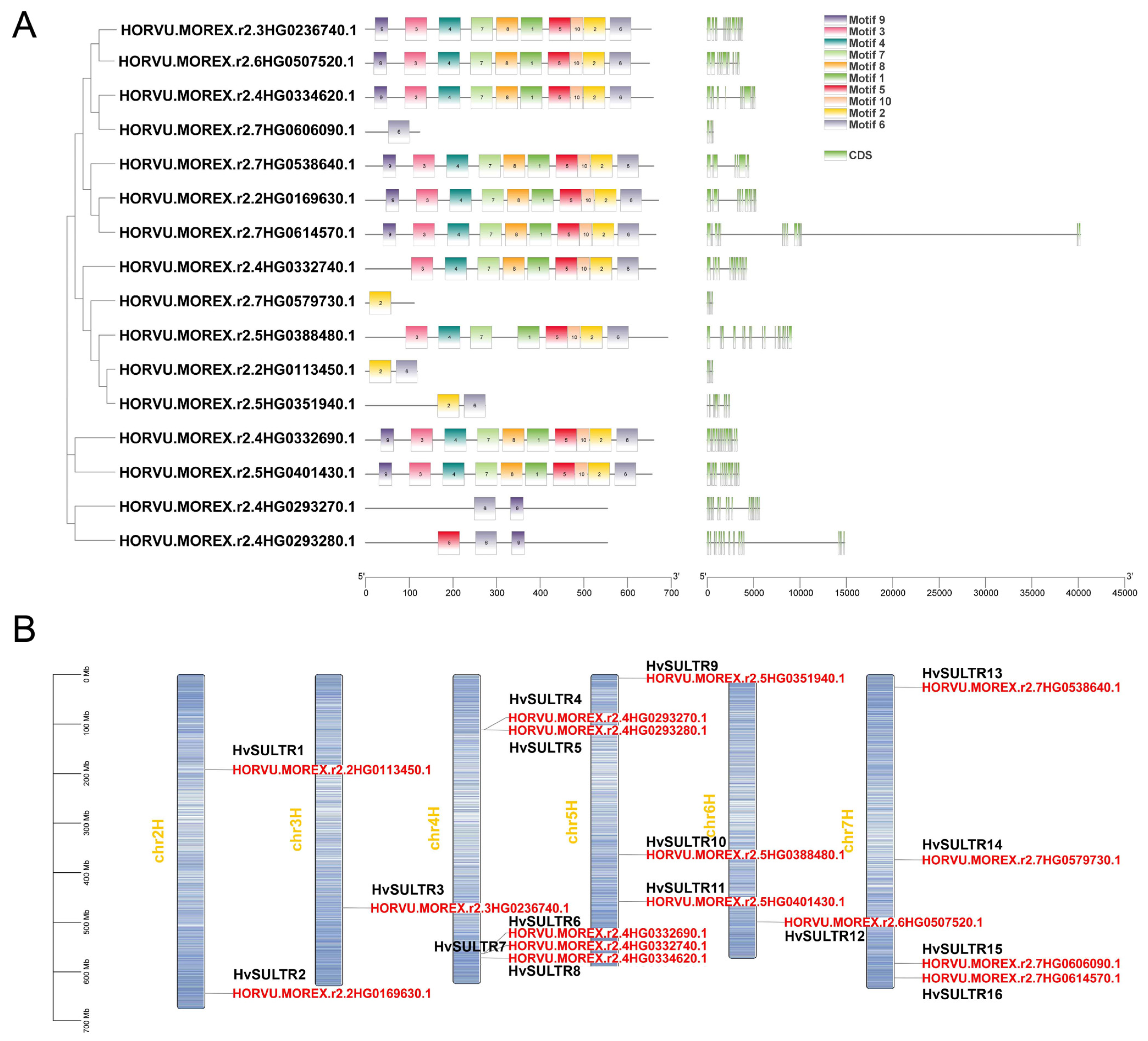 Plants 14 03165 g003