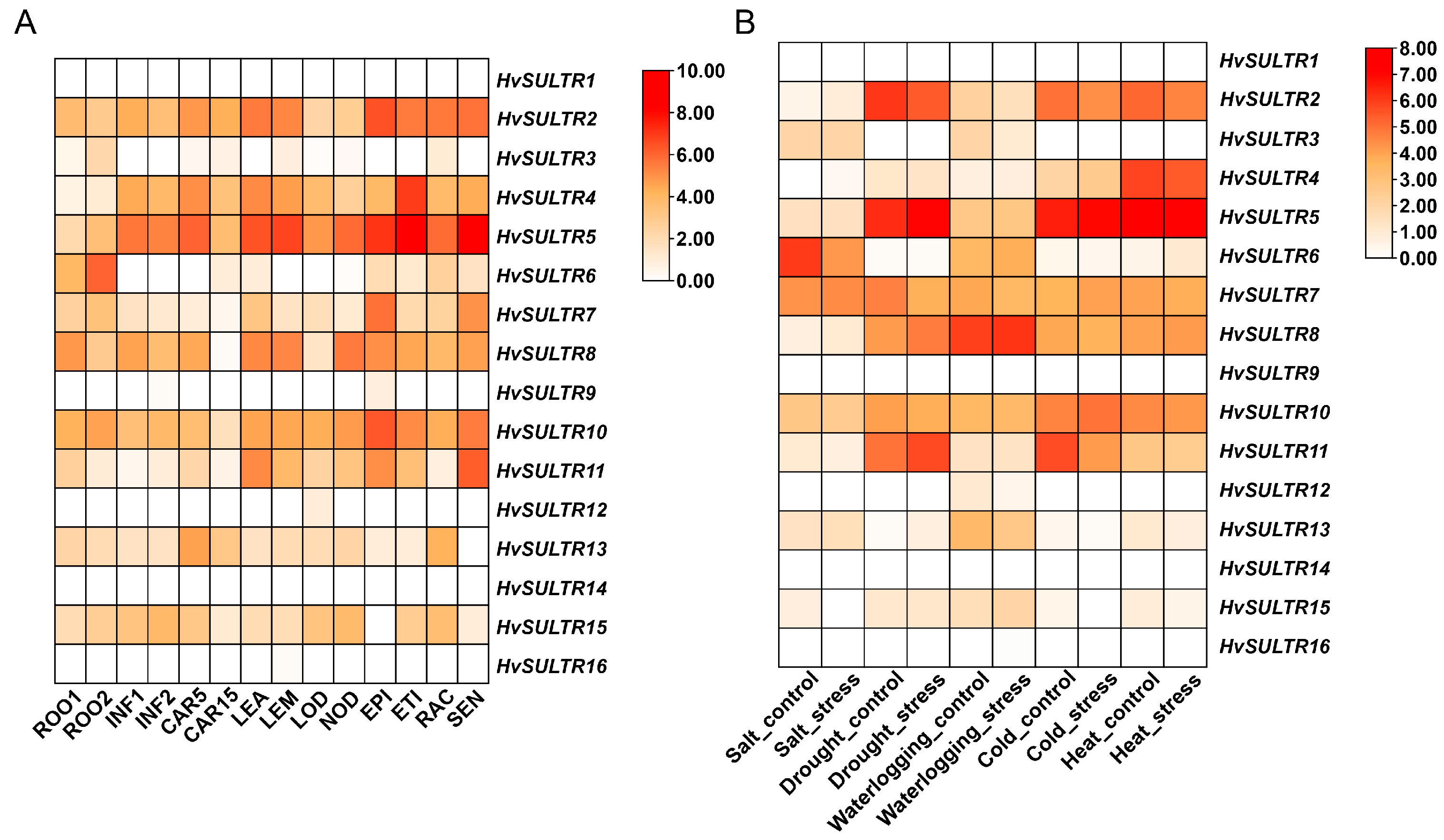 Plants 14 03165 g004