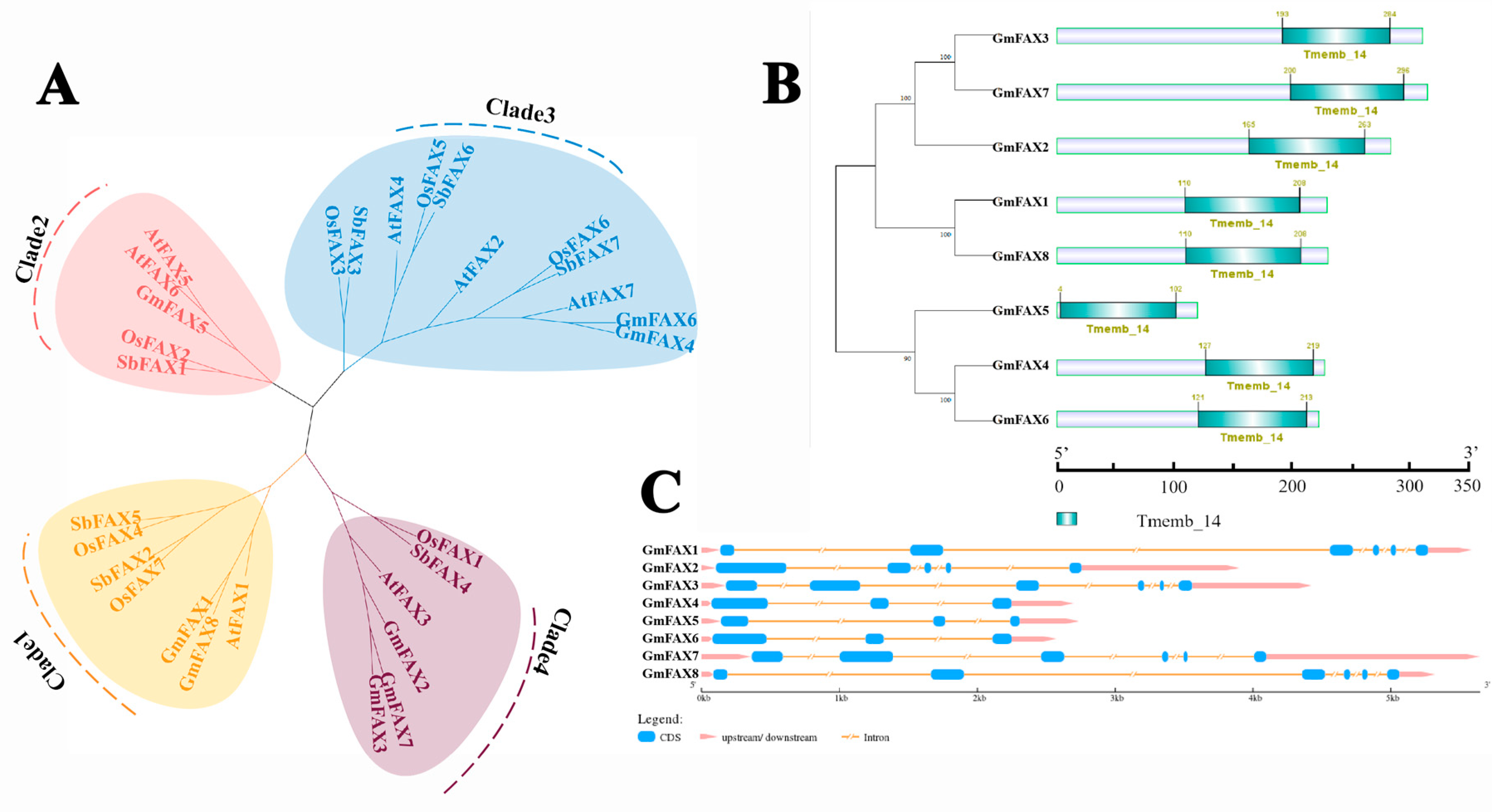 Plants 14 03166 g001