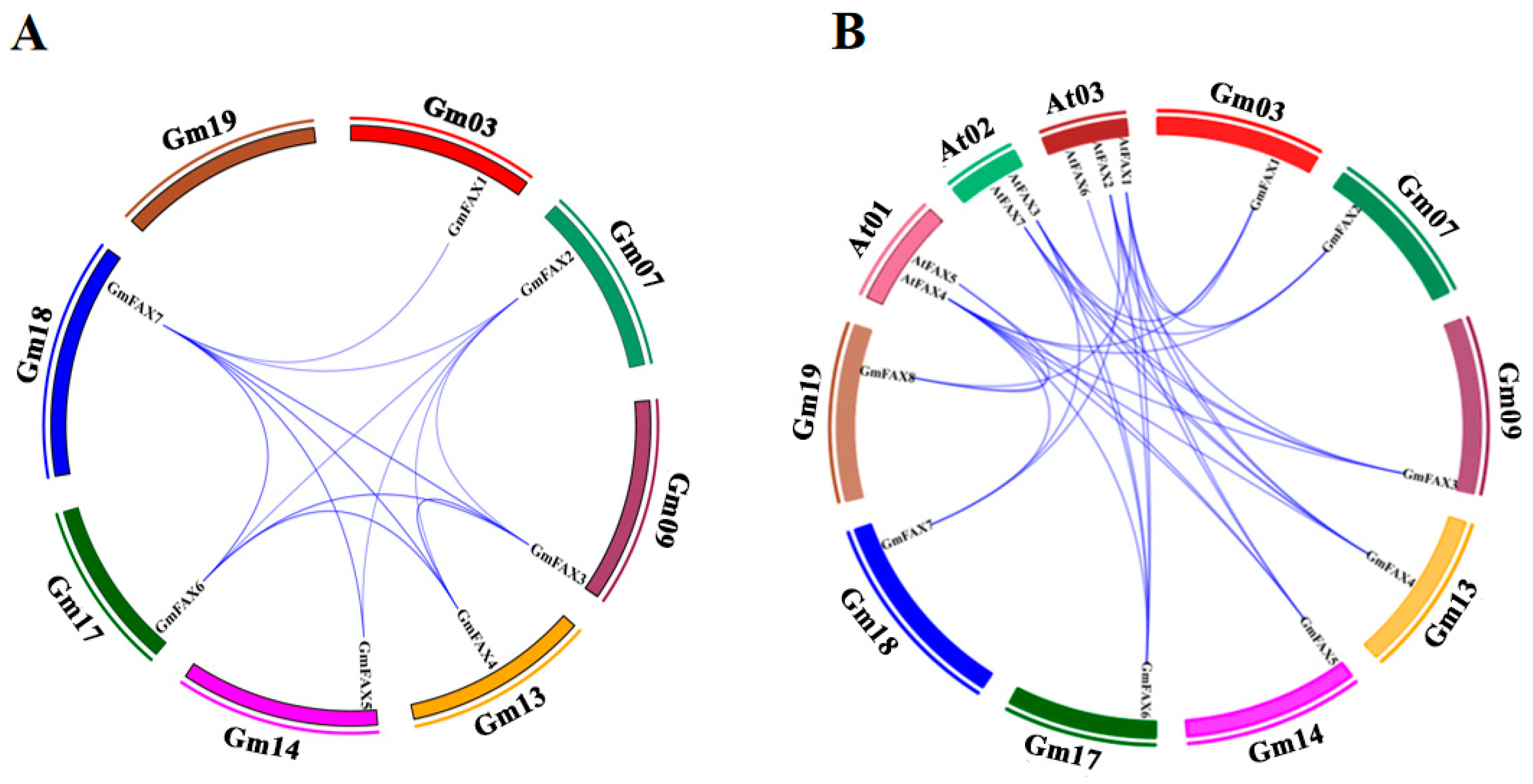 Plants 14 03166 g002