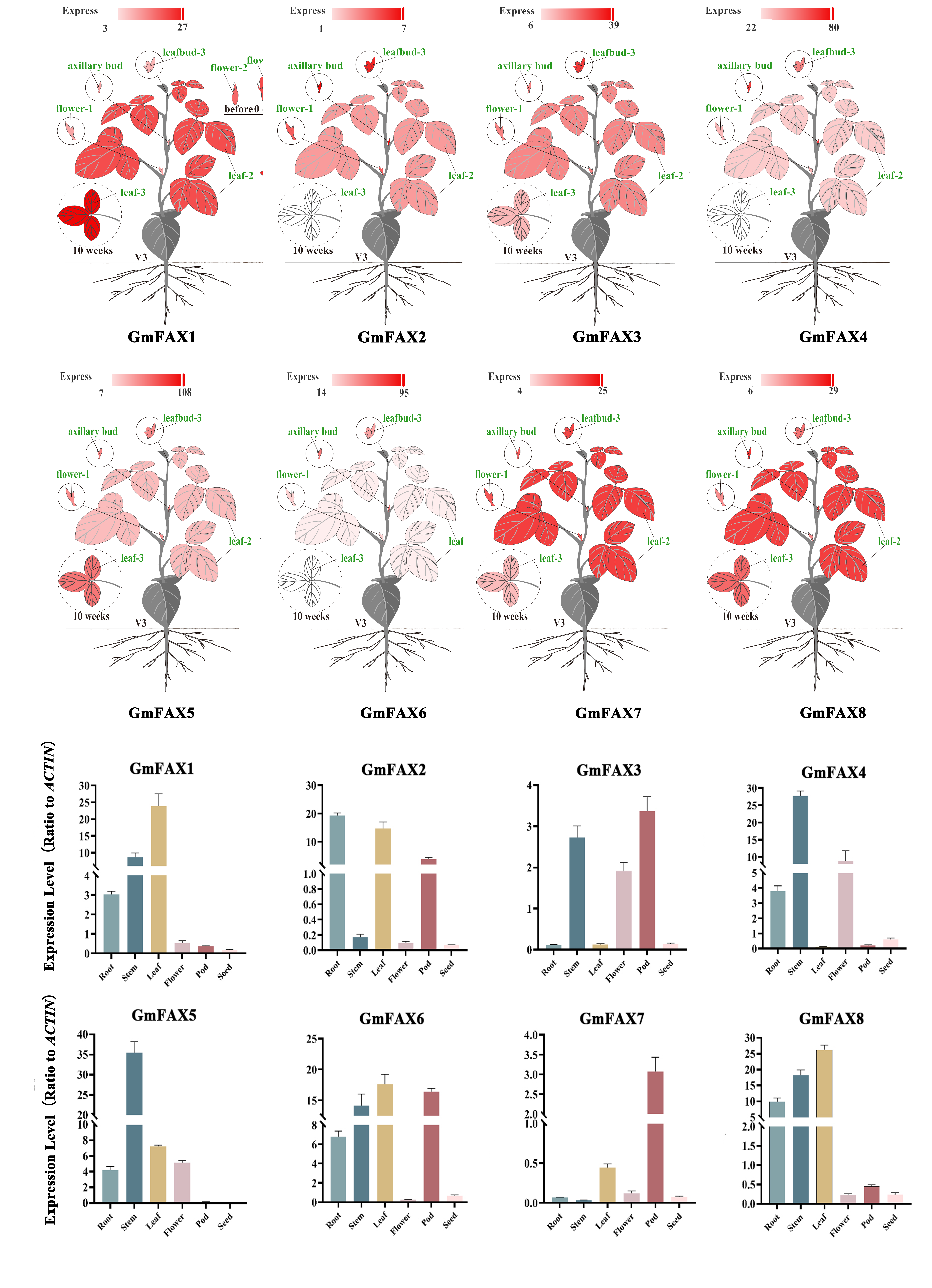 Plants 14 03166 g004