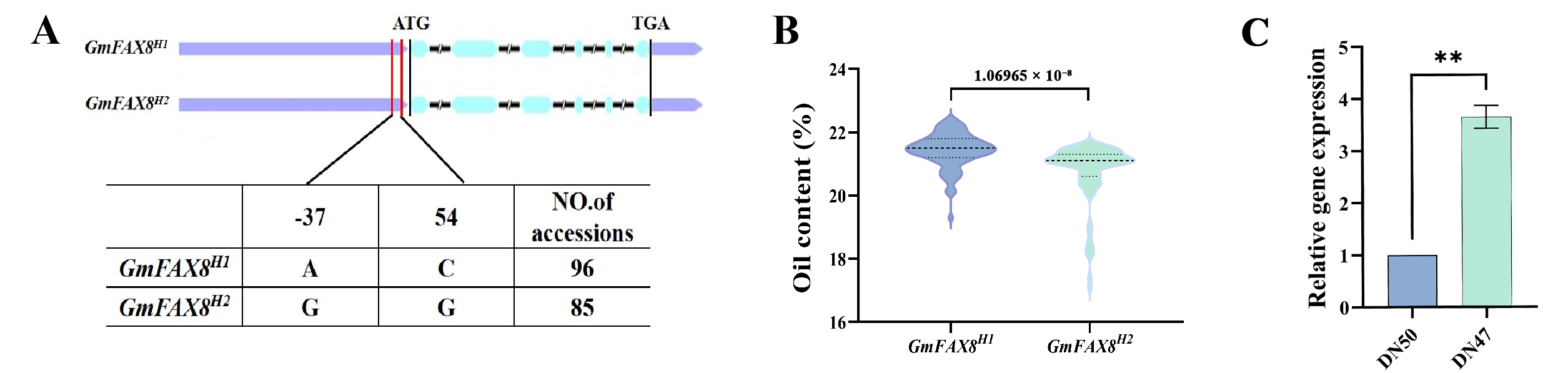Plants 14 03166 g008