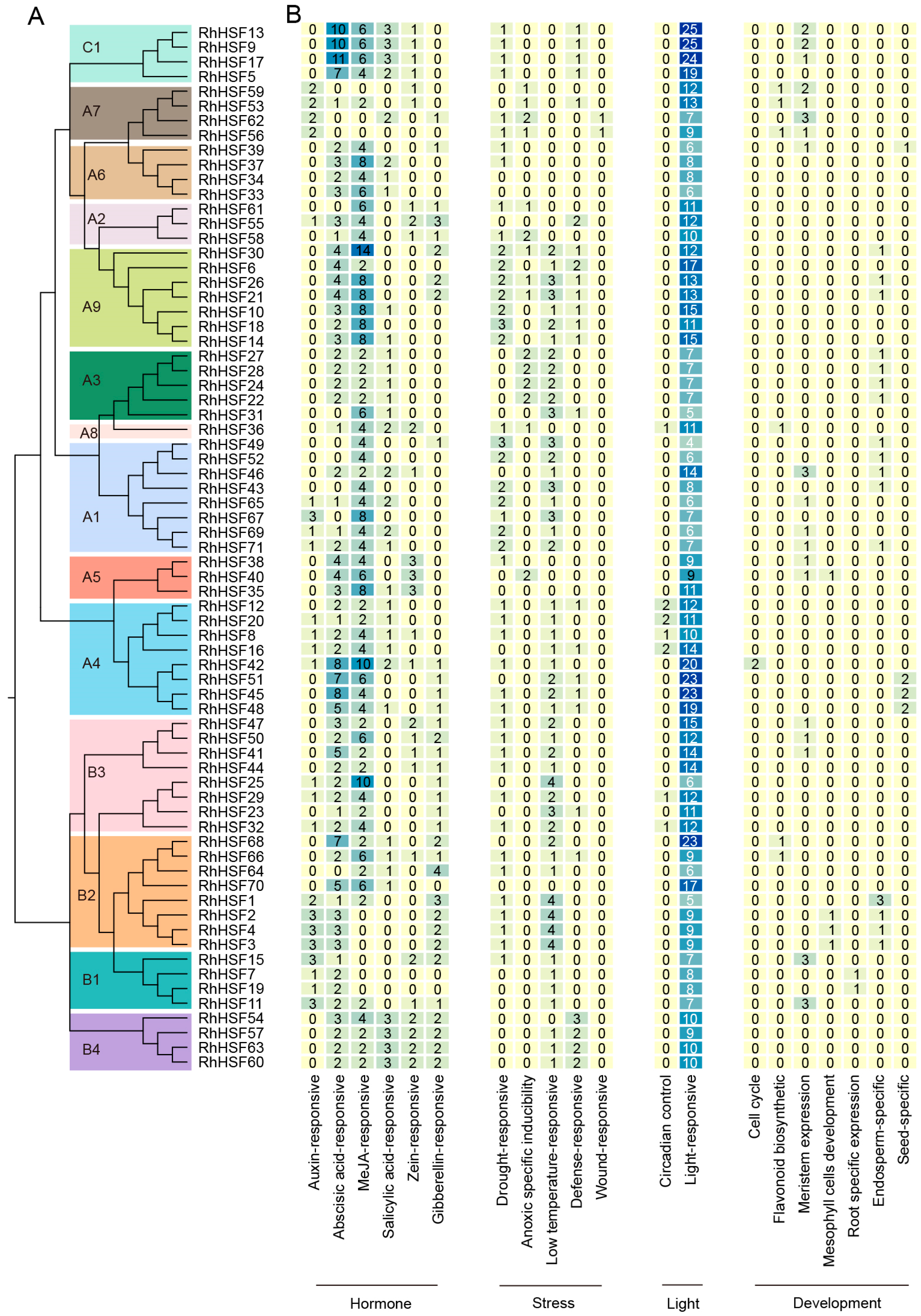 Plants 14 03167 g003