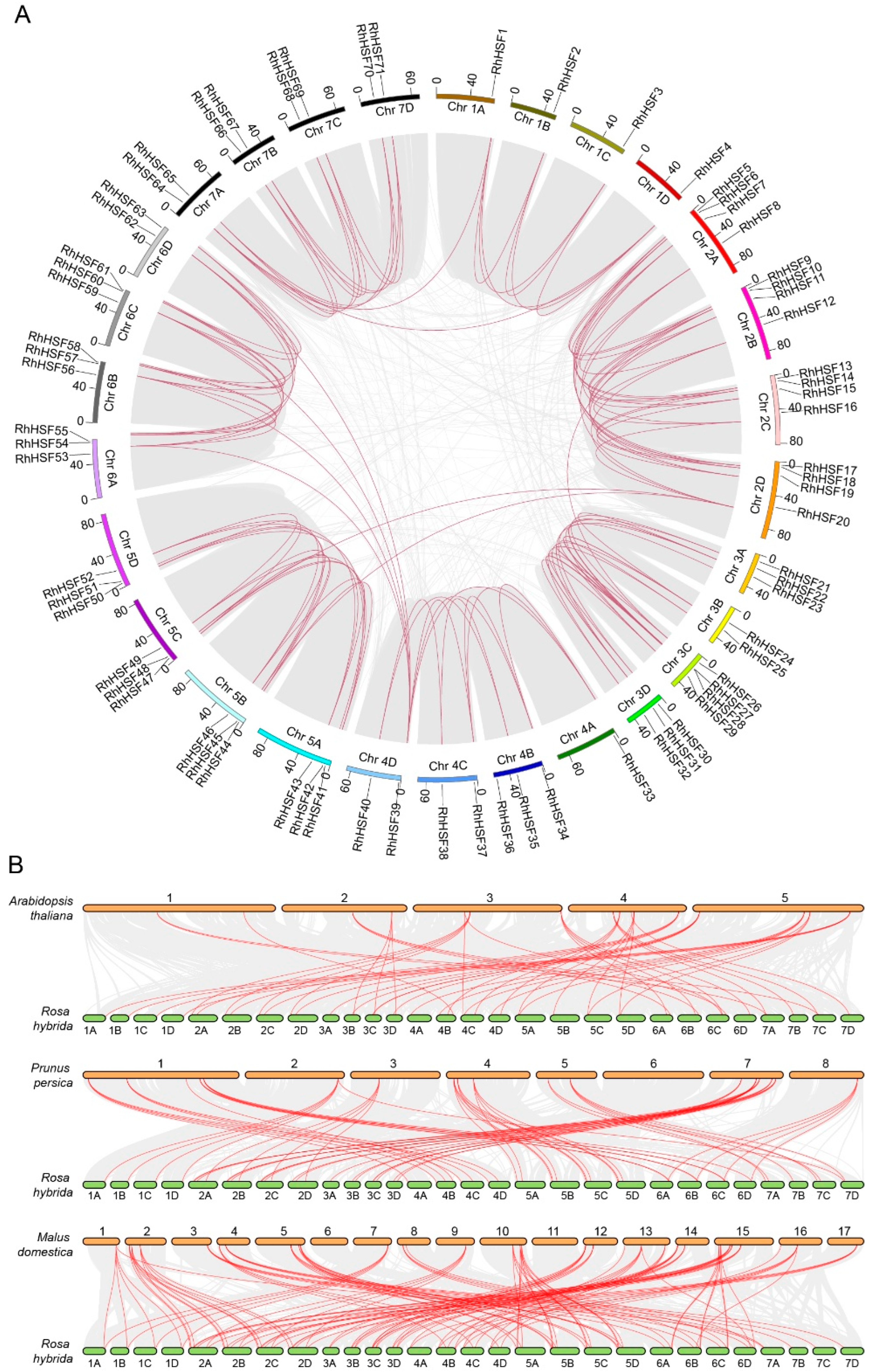 Plants 14 03167 g004