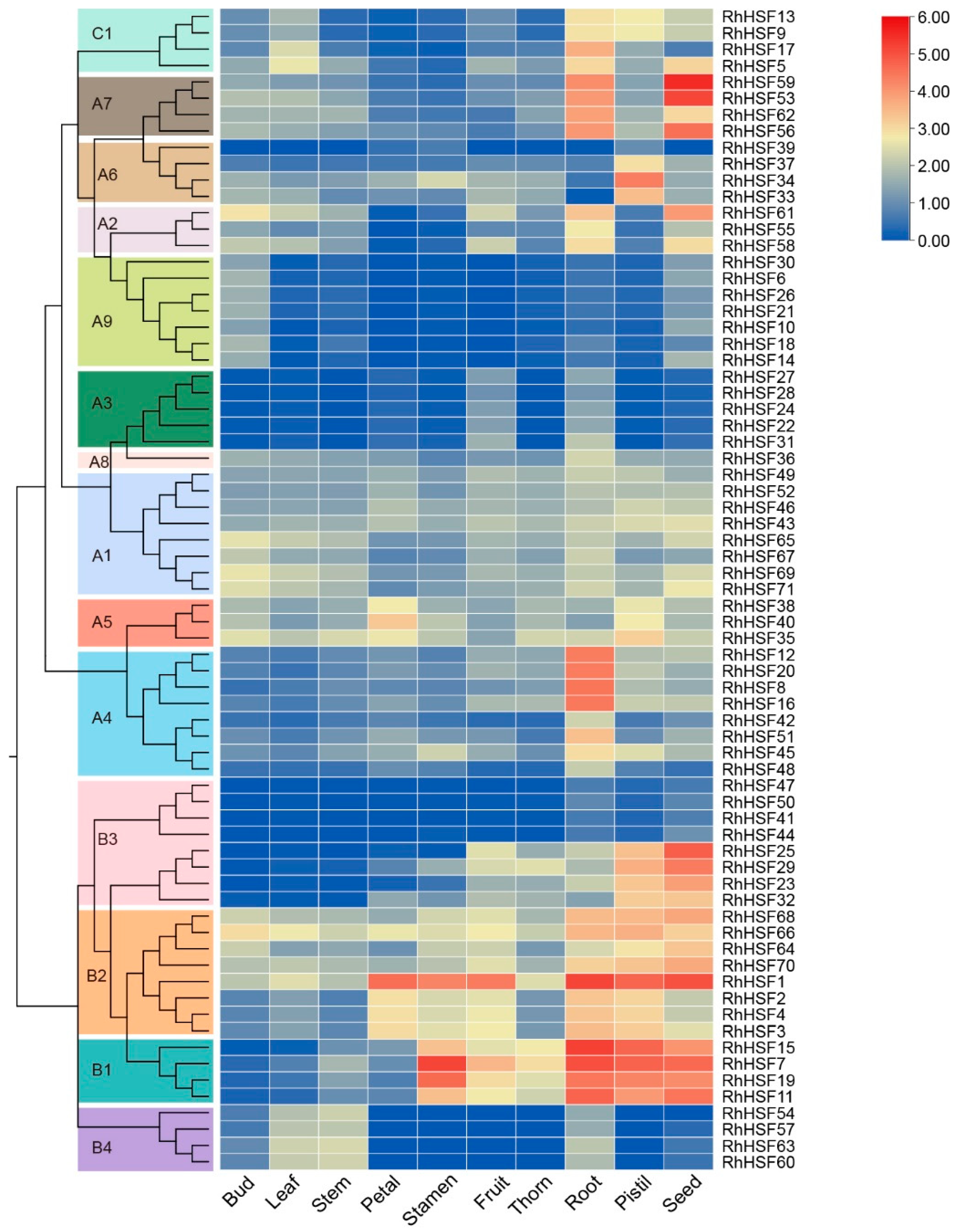 Plants 14 03167 g005
