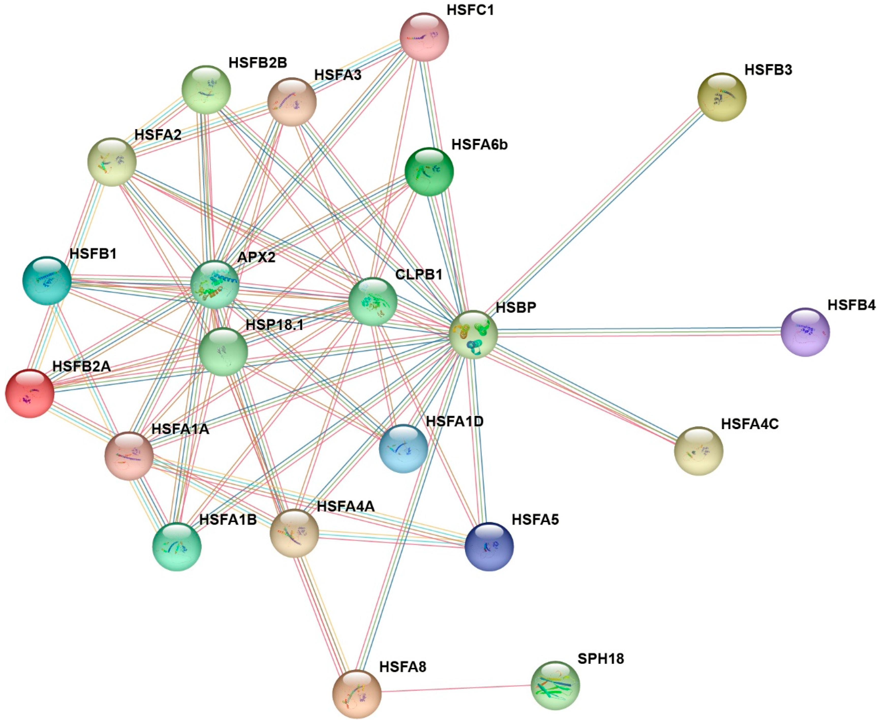 Plants 14 03167 g007