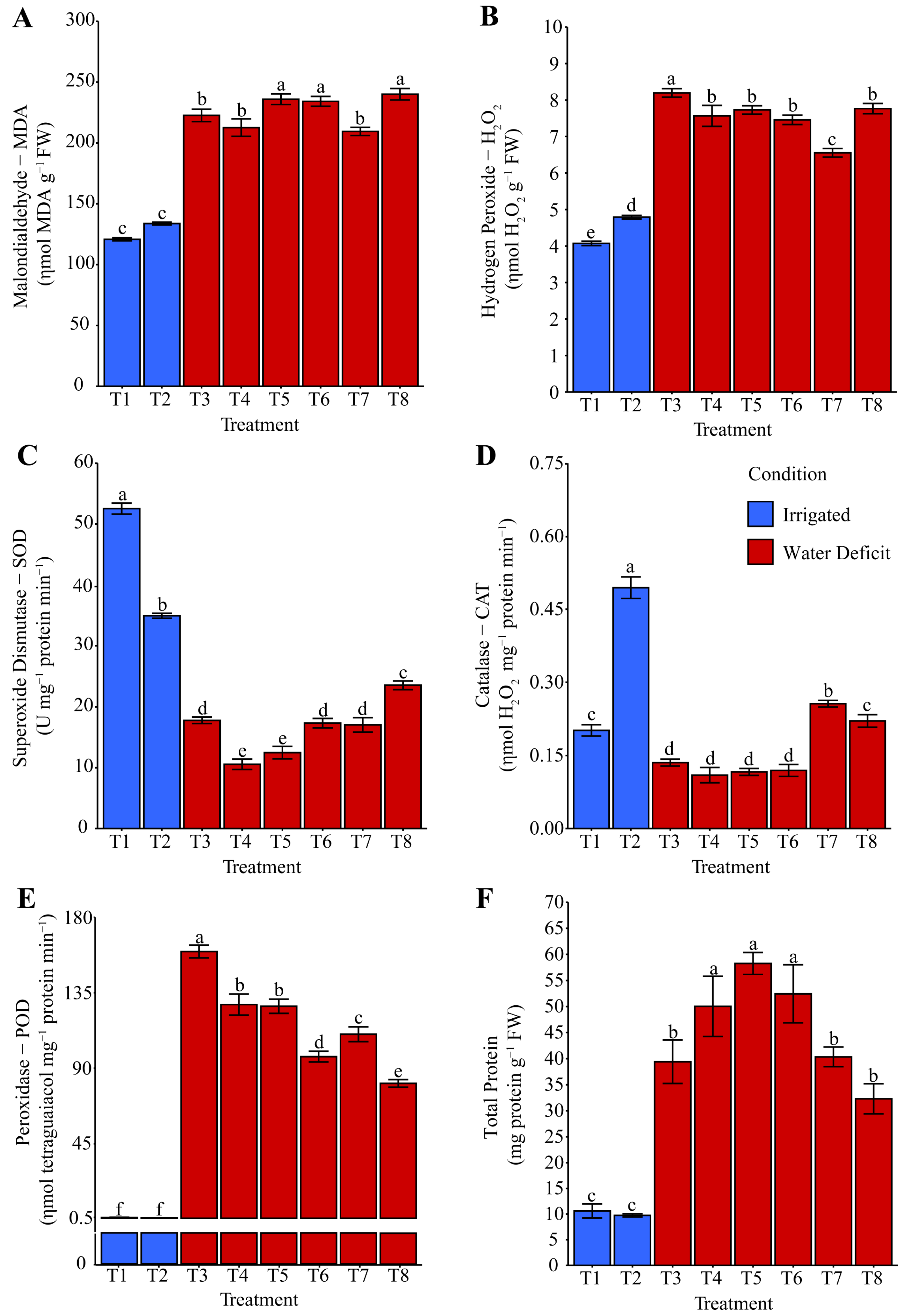 Plants 14 03173 g004